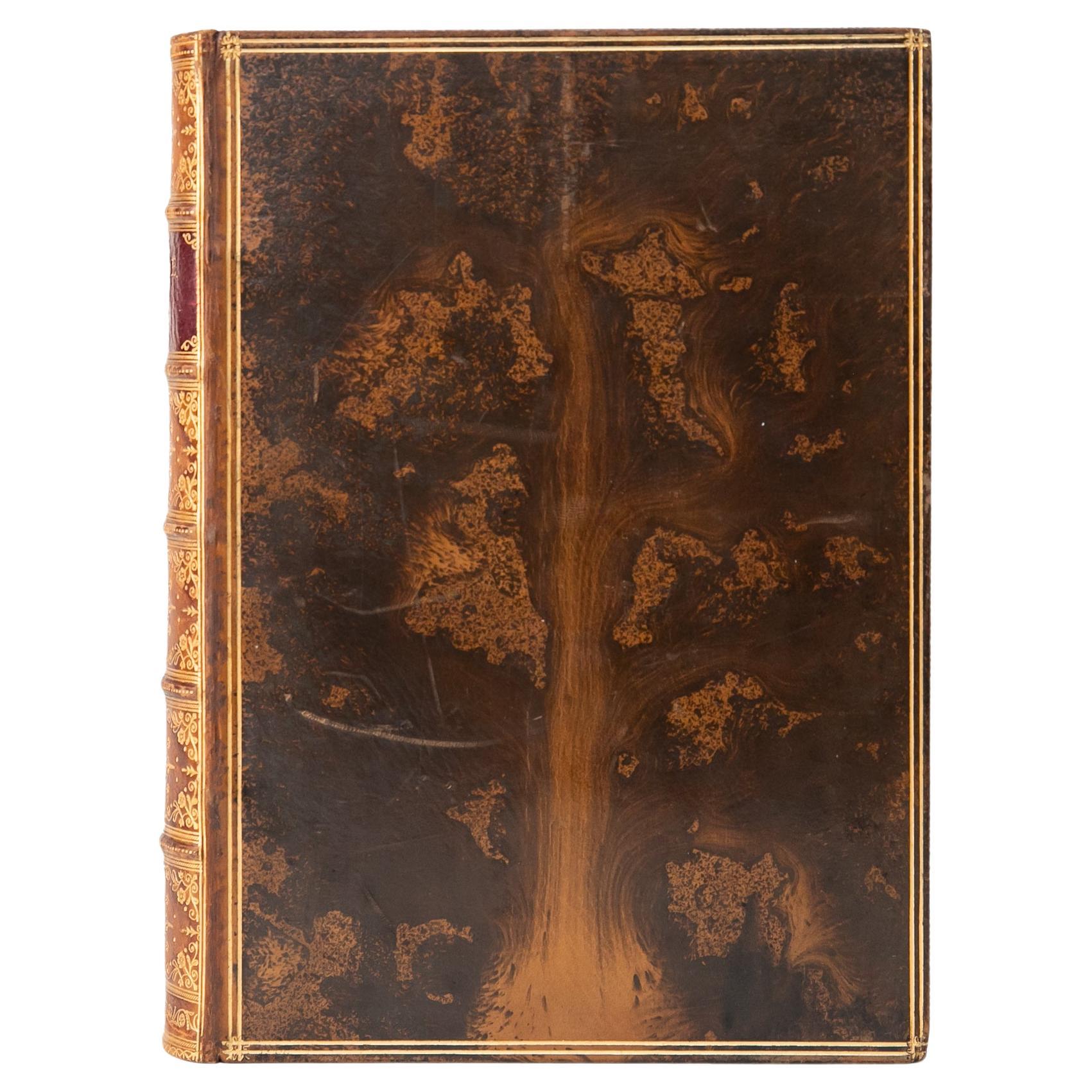 1 Volume. Dante Alighieri, The Vision. For Sale