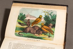 1 Volume, George Catlin, Letters & Notes on the North American Indians
