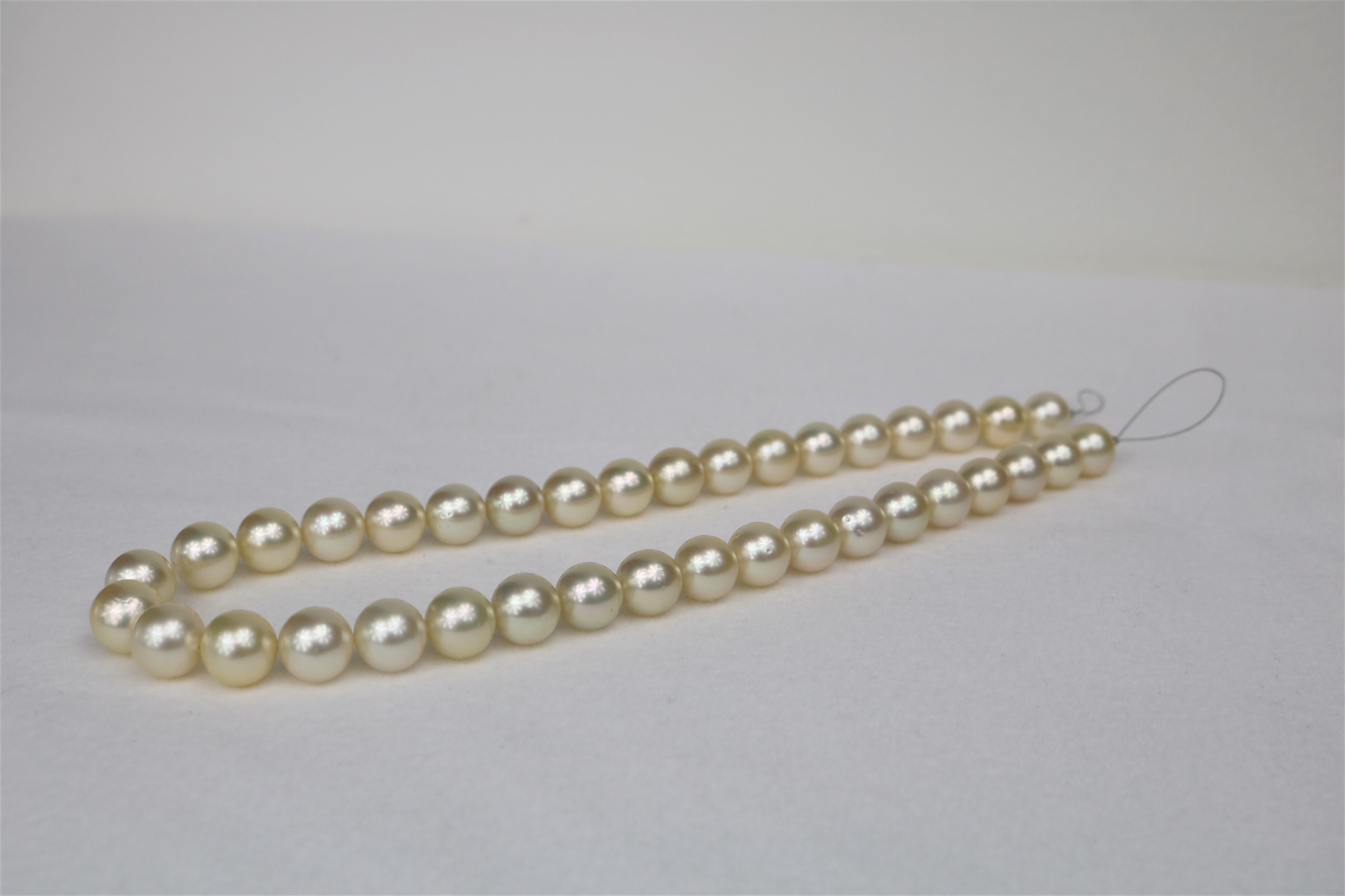 10-12mm Champagne South Sea Round Necklace with Gold Clasp
Champagne Color South Sea Round, AAA Luster, 18 inches hand knotted with gold fishhook clasp #CP38
