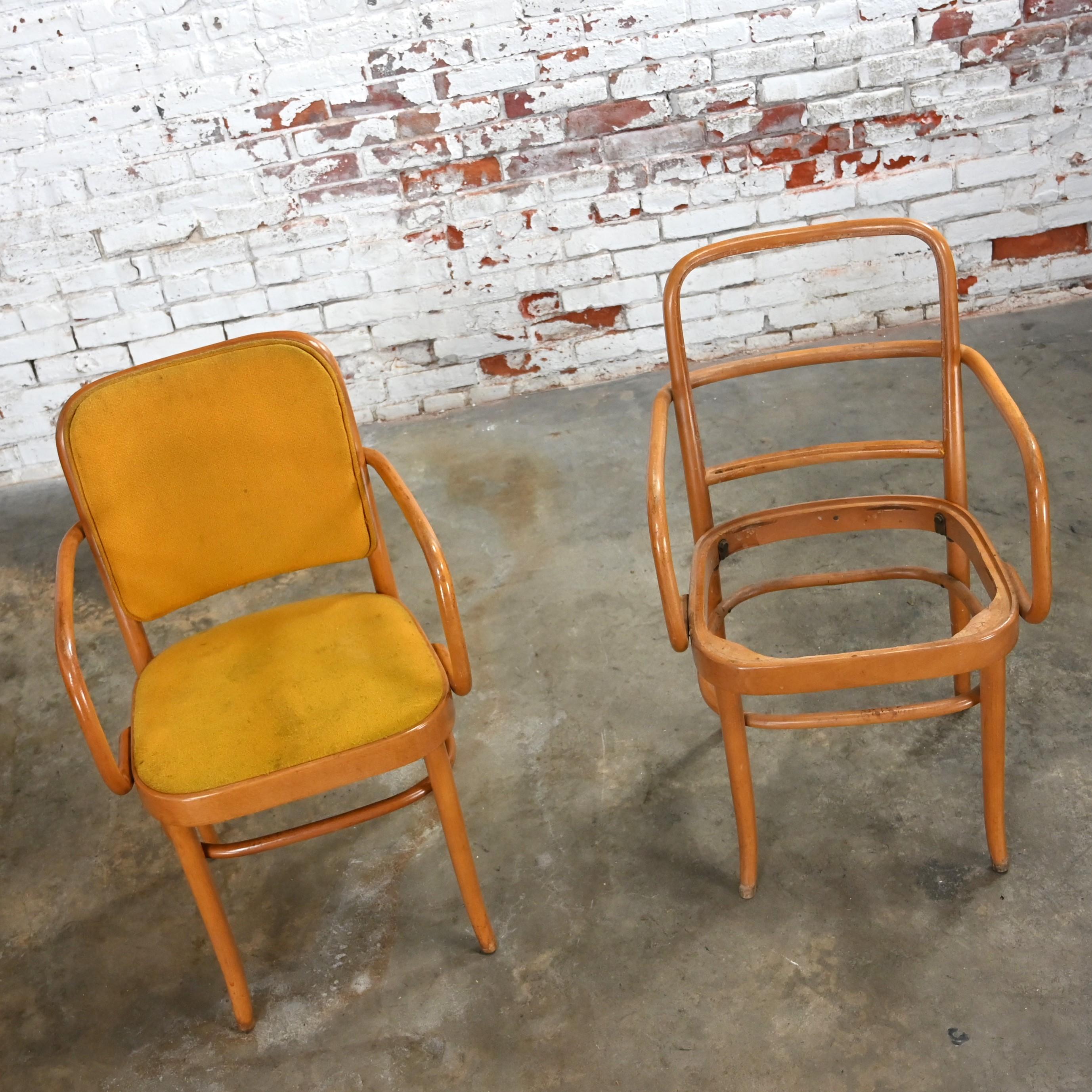10 chaises de salle à manger Bauhaus en hêtre courbé J Hoffman Prague 811 style Thonet en vente 4