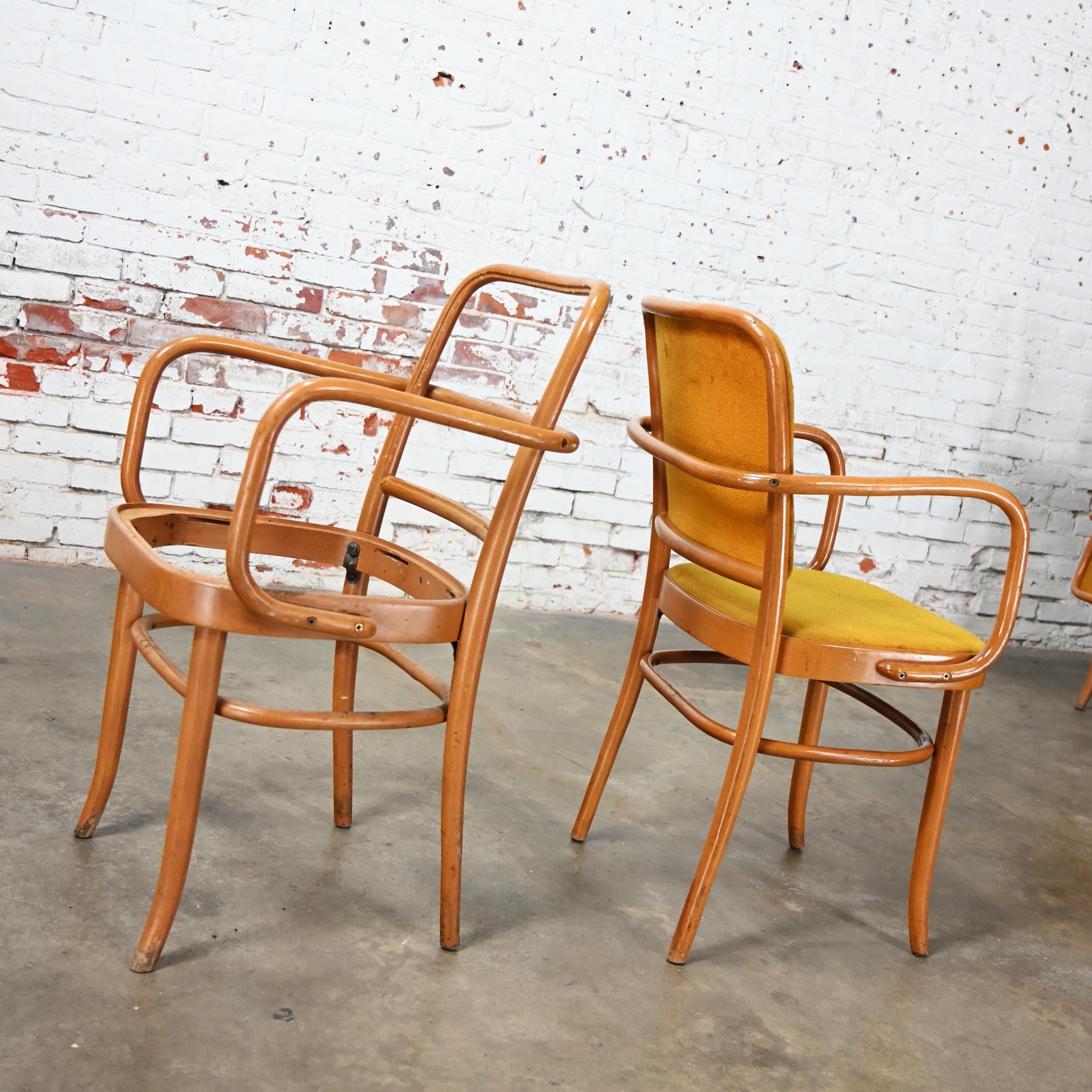 10 chaises de salle à manger Bauhaus en hêtre courbé J Hoffman Prague 811 style Thonet en vente 5