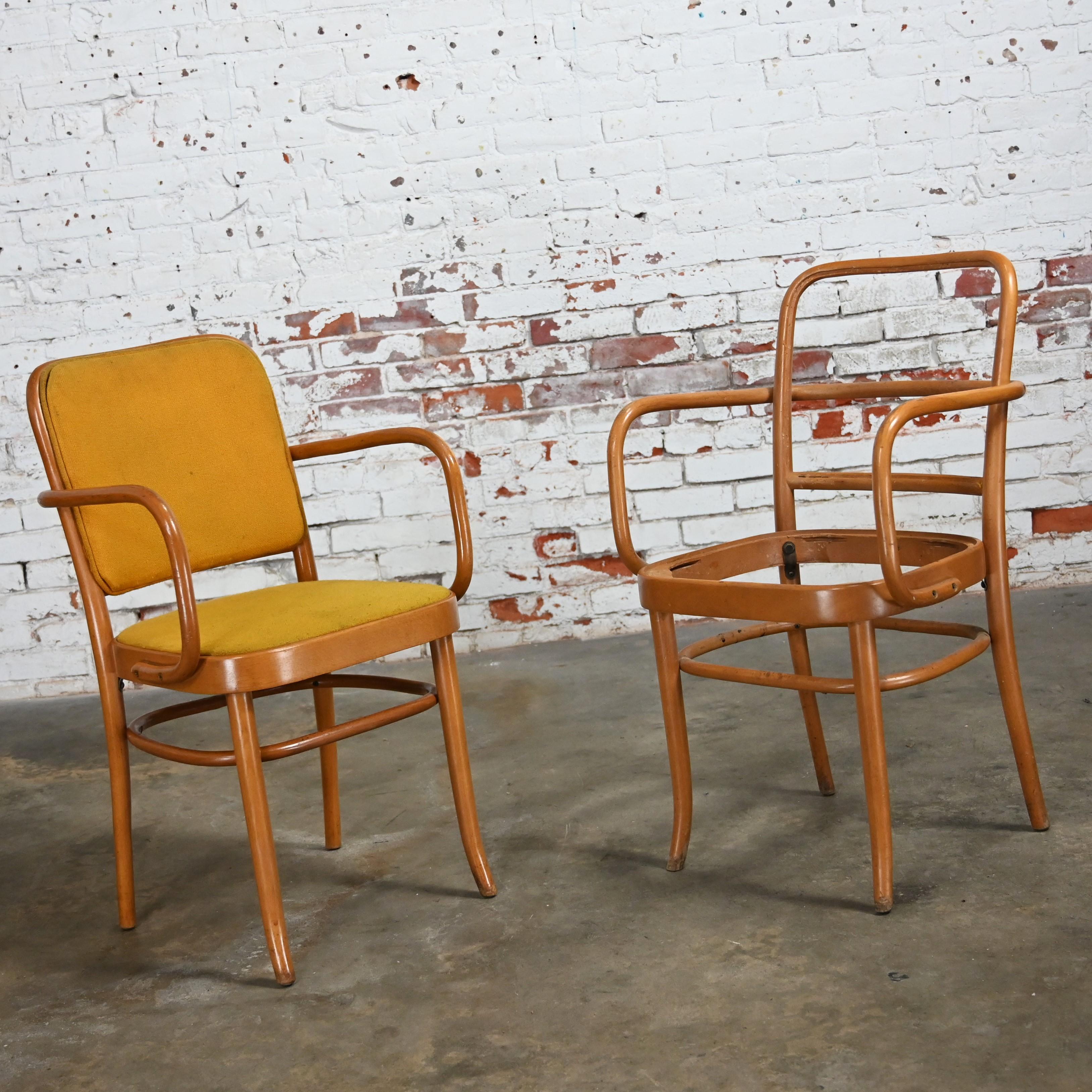 10 chaises de salle à manger Bauhaus en hêtre courbé J Hoffman Prague 811 style Thonet en vente 6