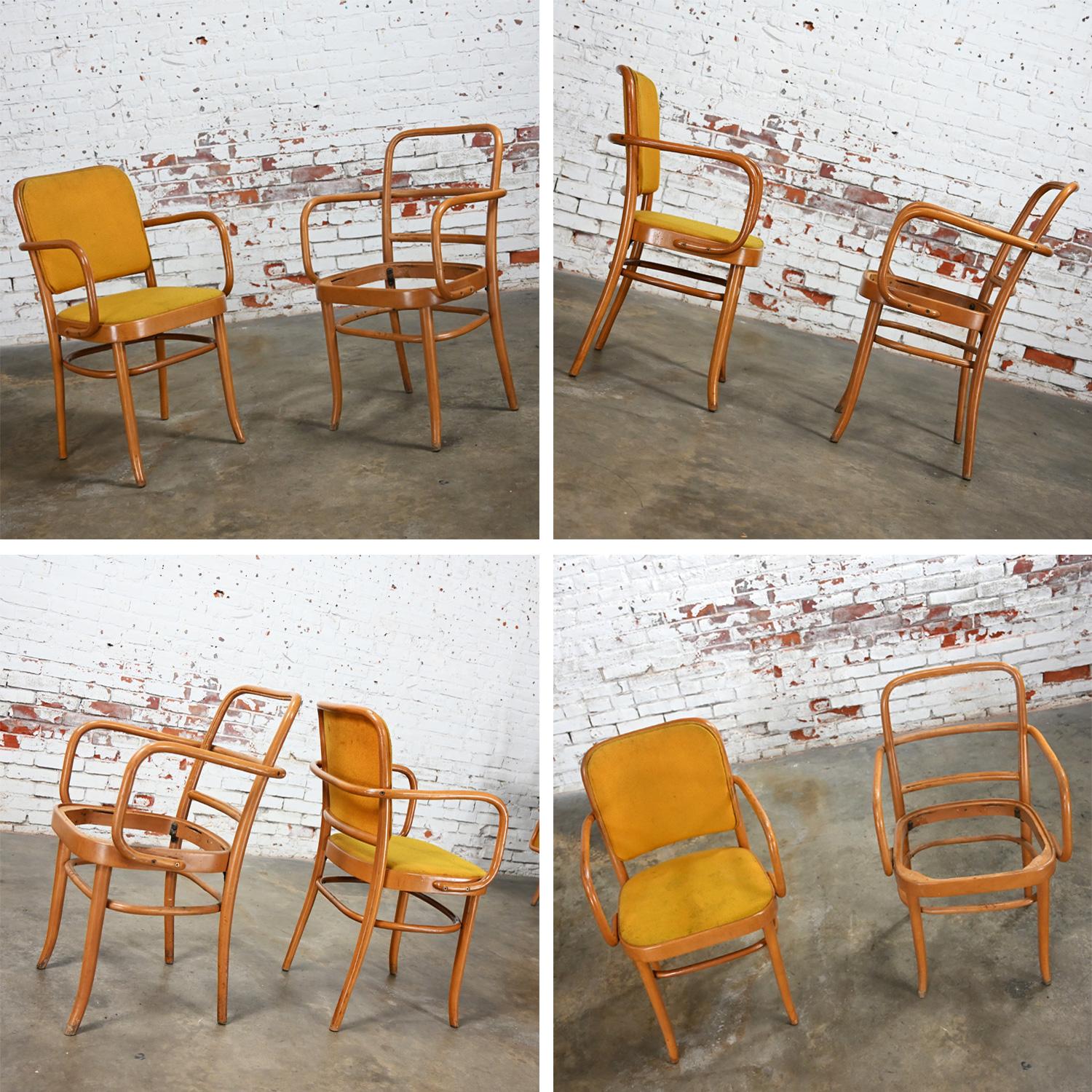 10 chaises de salle à manger Bauhaus en hêtre courbé J Hoffman Prague 811 style Thonet en vente 8