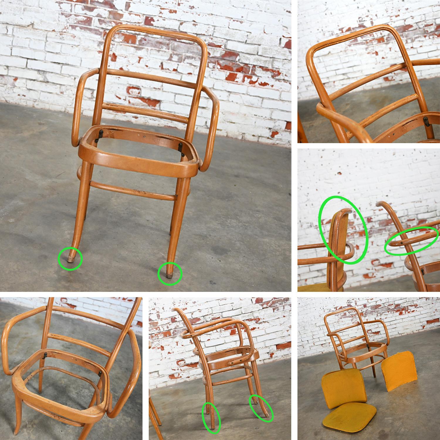 10 chaises de salle à manger Bauhaus en hêtre courbé J Hoffman Prague 811 style Thonet en vente 10