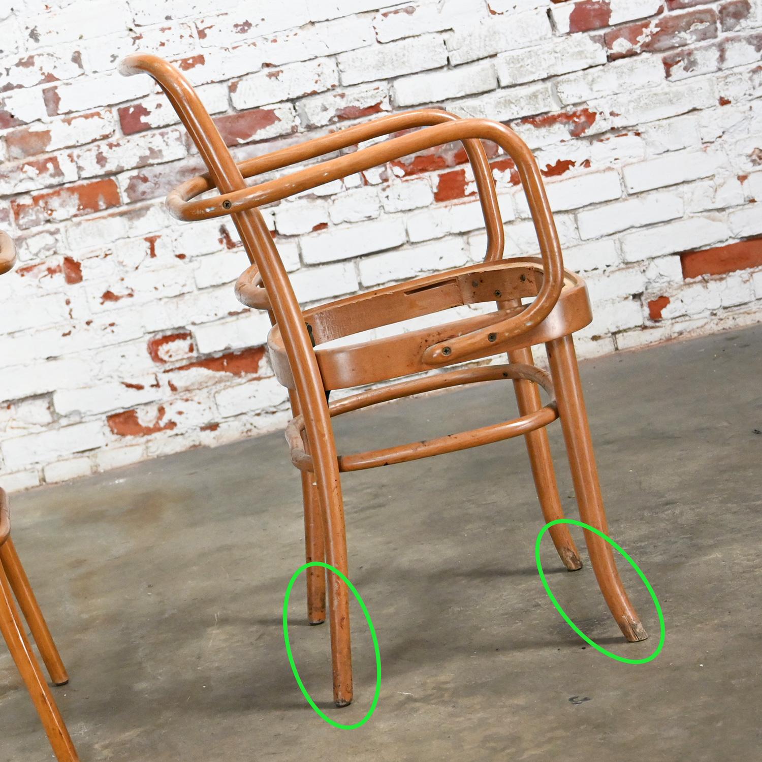 10 chaises de salle à manger Bauhaus en hêtre courbé J Hoffman Prague 811 style Thonet en vente 12