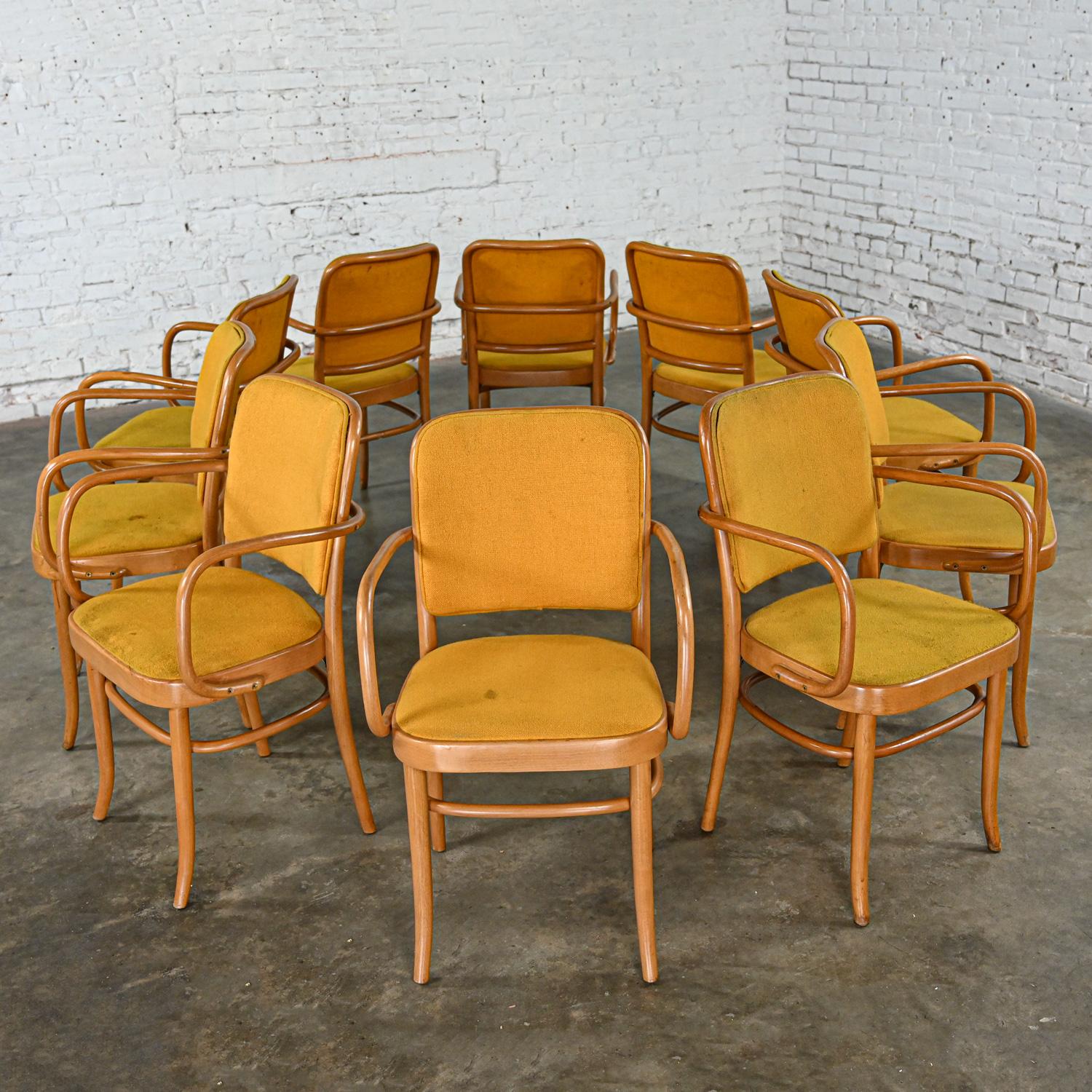 10 chaises de salle à manger Bauhaus en hêtre courbé J Hoffman Prague 811 style Thonet en vente 14