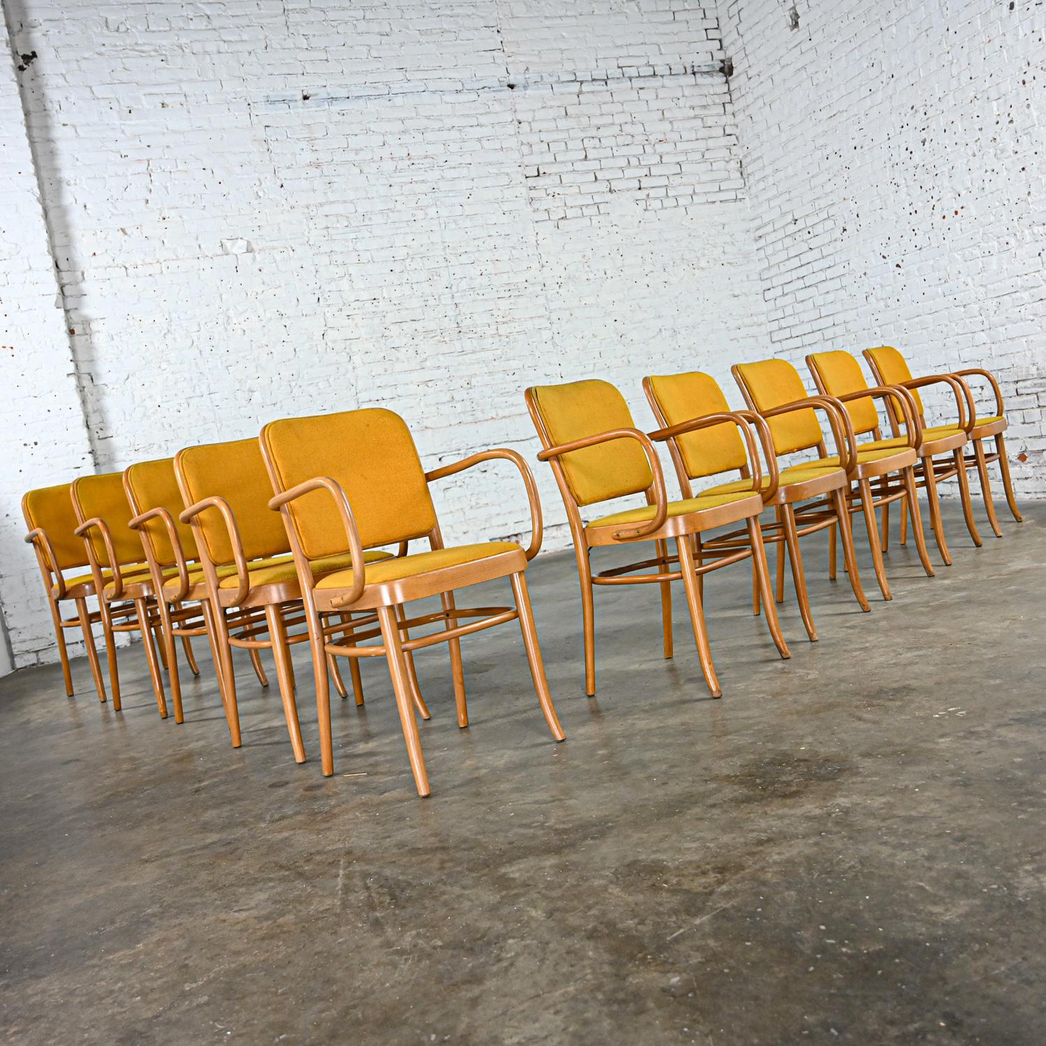 10 chaises de salle à manger Bauhaus en hêtre courbé J Hoffman Prague 811 style Thonet Bon état - En vente à Topeka, KS
