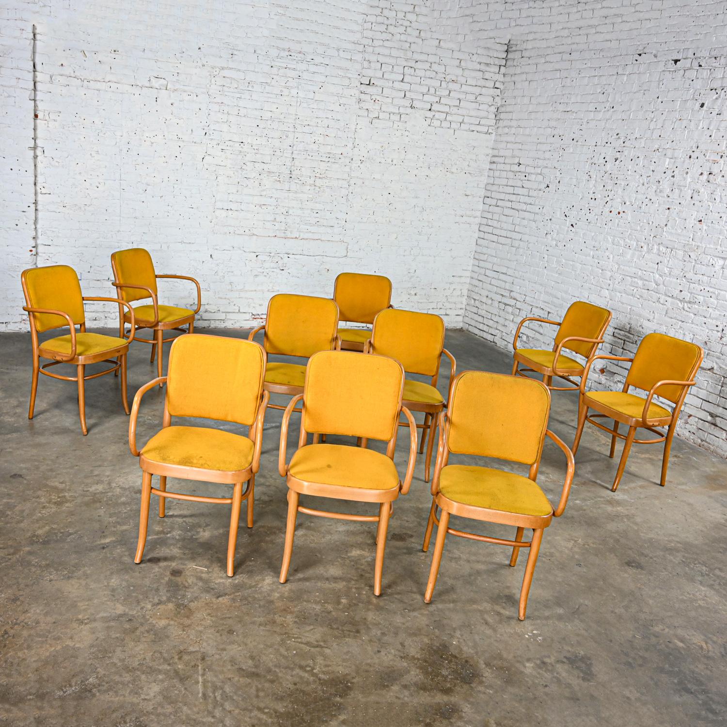20ième siècle 10 chaises de salle à manger Bauhaus en hêtre courbé J Hoffman Prague 811 style Thonet en vente