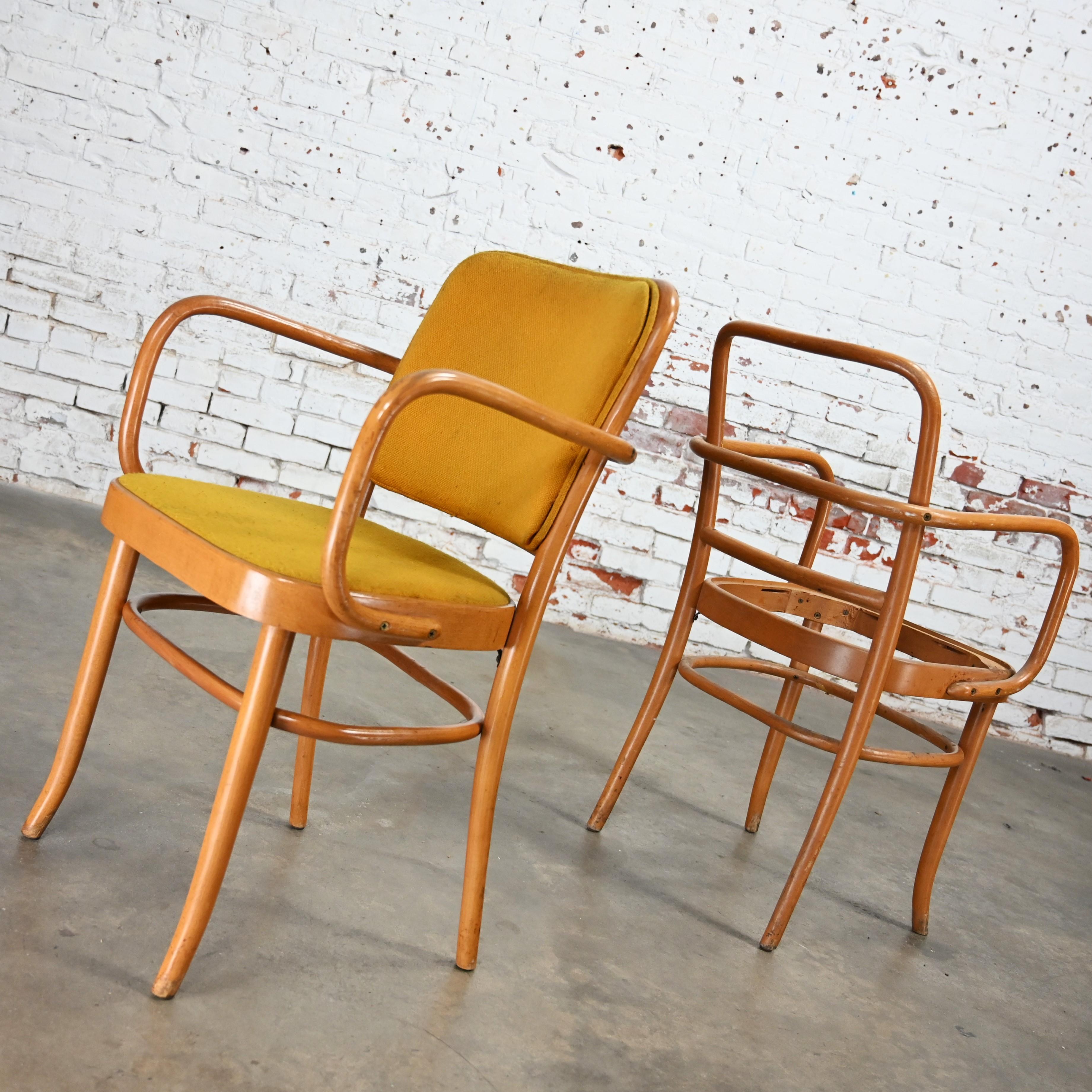 10 chaises de salle à manger Bauhaus en hêtre courbé J Hoffman Prague 811 style Thonet en vente 1