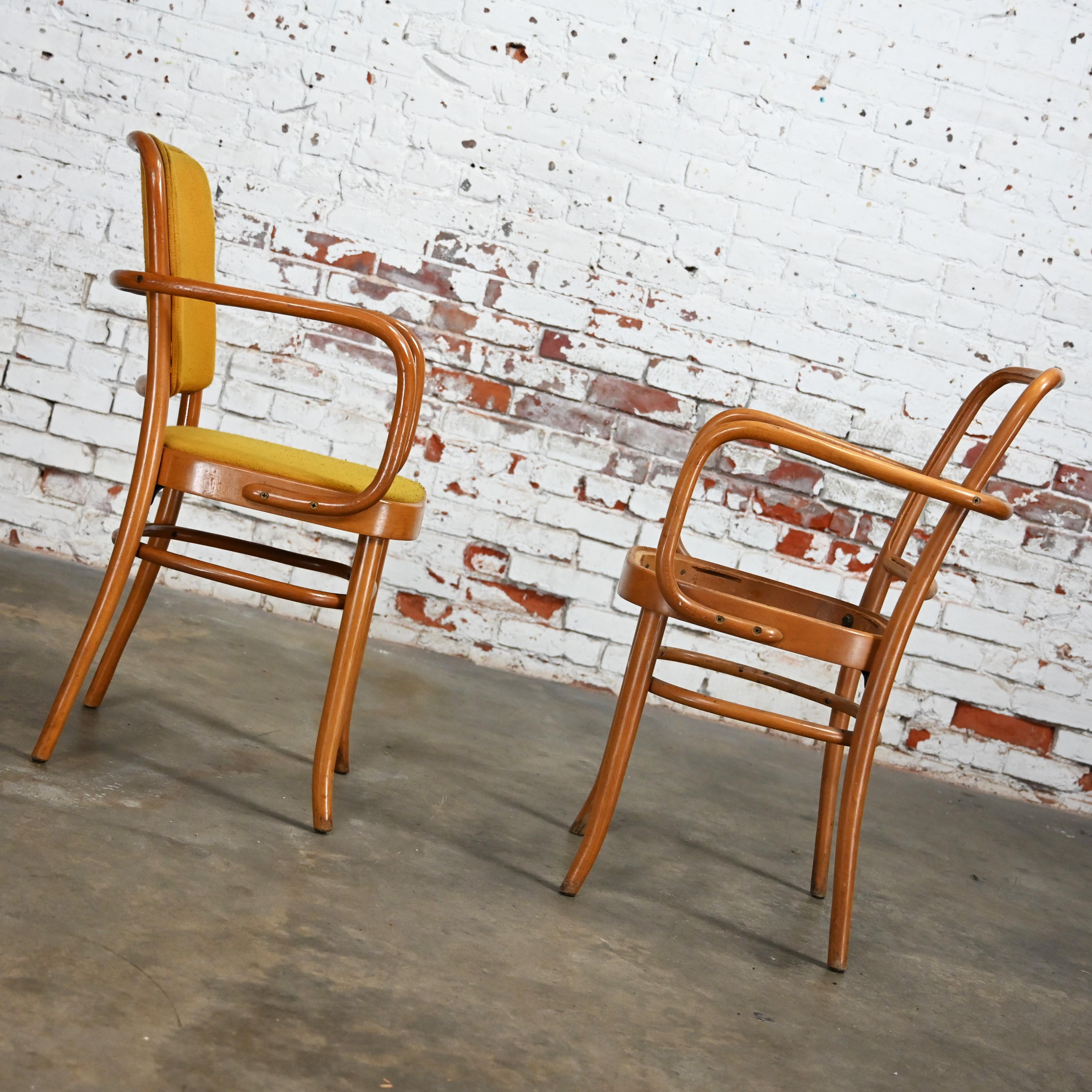 10 chaises de salle à manger Bauhaus en hêtre courbé J Hoffman Prague 811 style Thonet en vente 3
