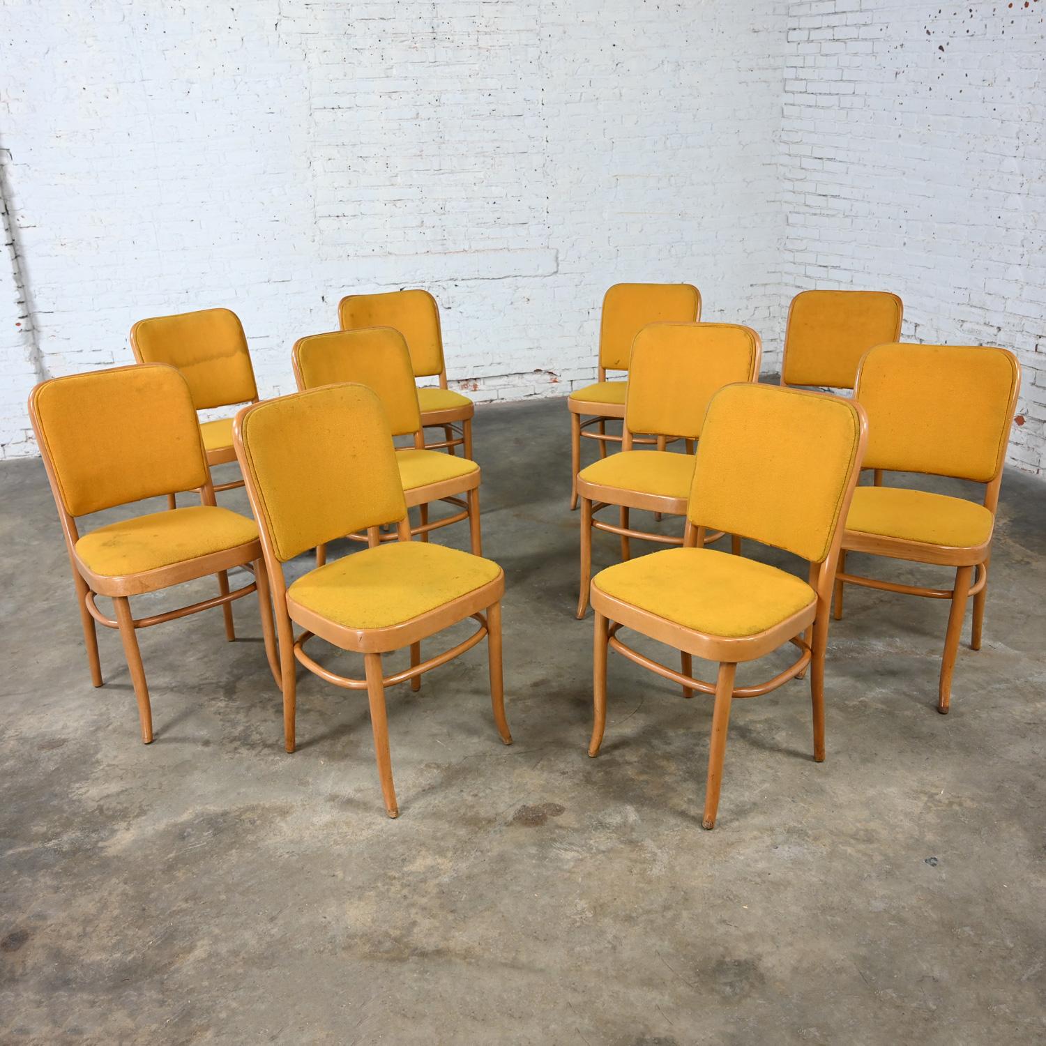 10 chaises de salle à manger Bauhaus sans accoudoirs Hoffman Prague 811 style Thonet en vente 7