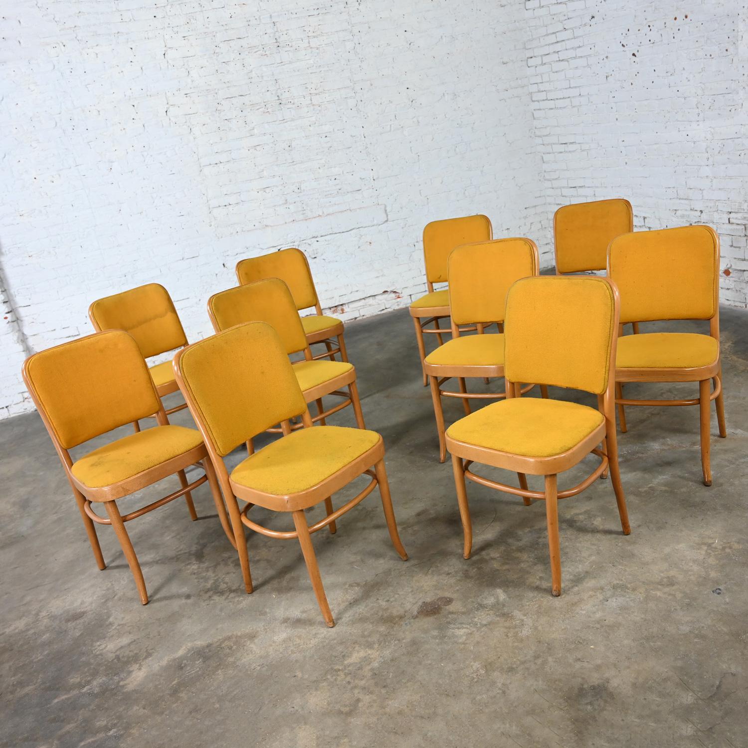 10 armlose Bauhaus-Esszimmerstühle aus Buche und Bugholz Hoffman Prag 811 im Stil Thonet (Mazedonisch) im Angebot