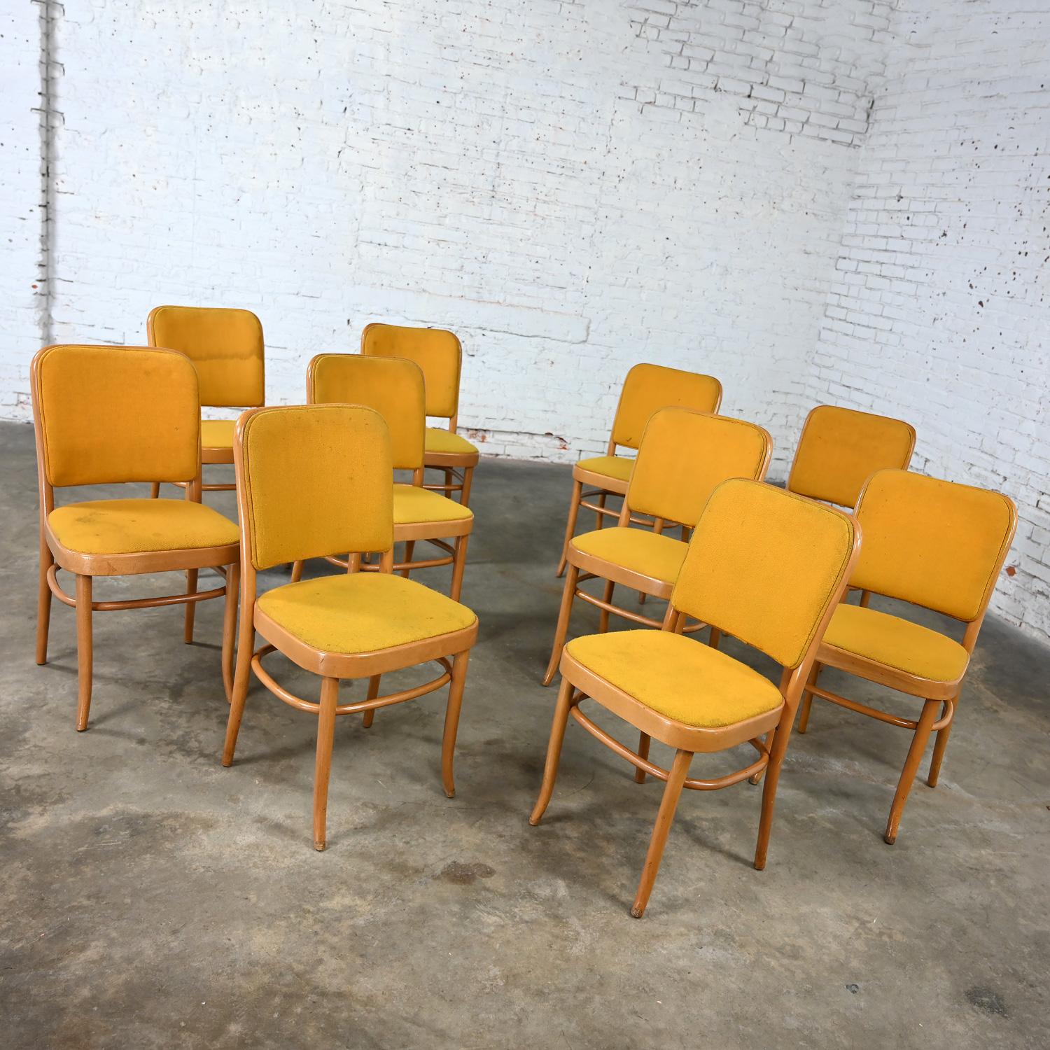 10 Armless Bauhaus Beech Bentwood Hoffman Prague 811 Dining Chairs Style Thonet In Good Condition For Sale In Topeka, KS