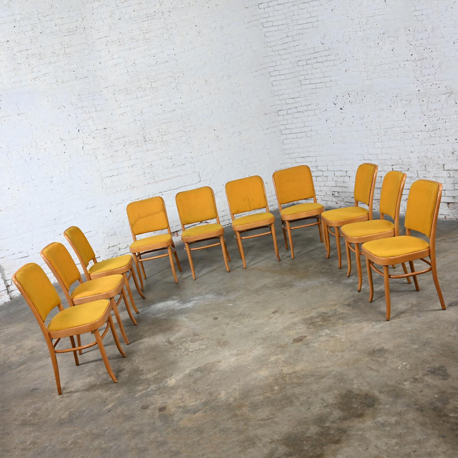 20th Century 10 Armless Bauhaus Beech Bentwood Hoffman Prague 811 Dining Chairs Style Thonet For Sale
