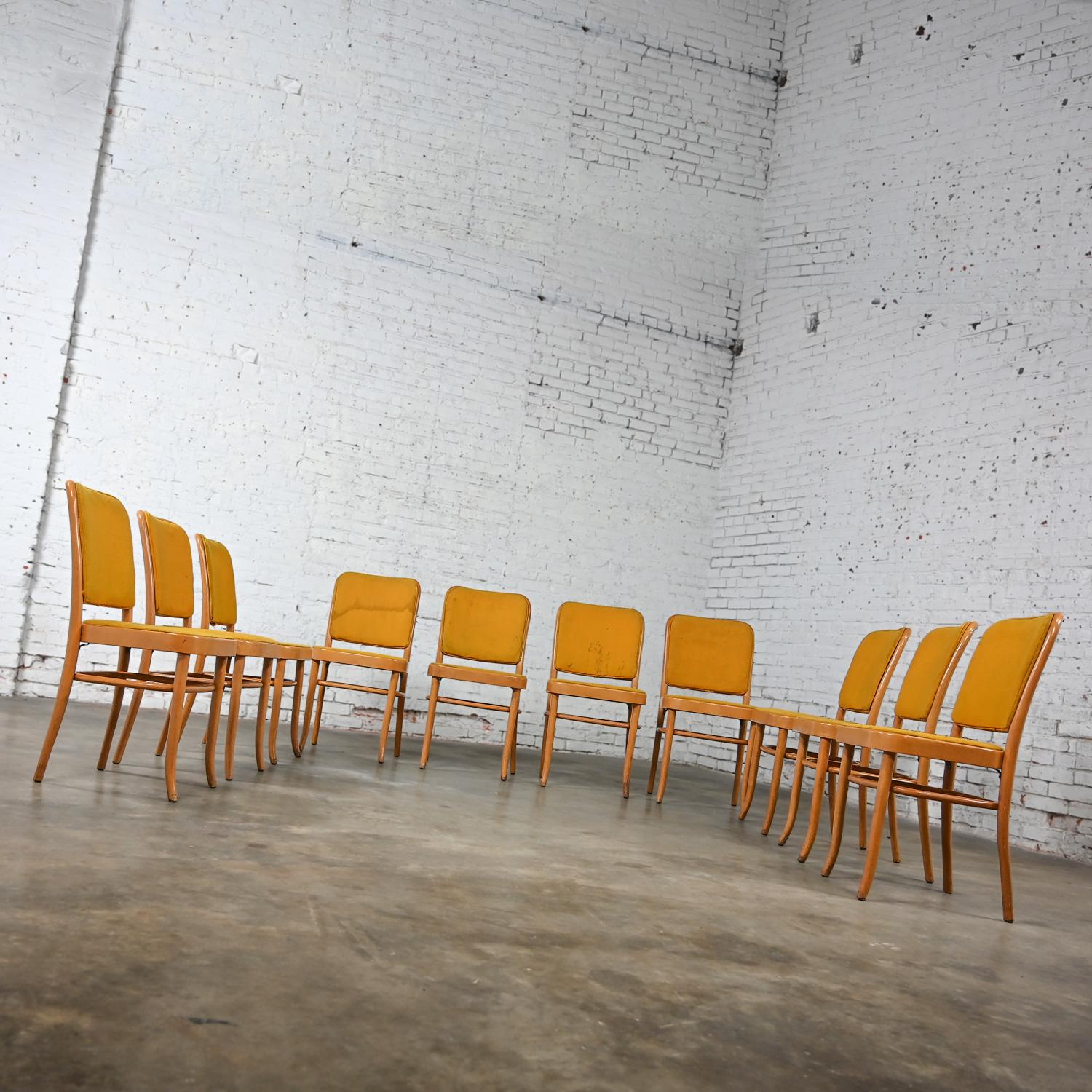 10 armlose Bauhaus-Esszimmerstühle aus Buche und Bugholz Hoffman Prag 811 im Stil Thonet (Stoff) im Angebot