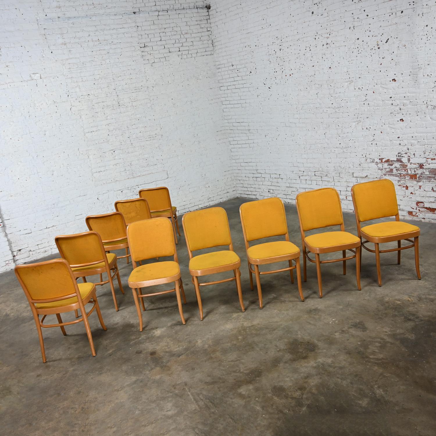 10 chaises de salle à manger Bauhaus sans accoudoirs Hoffman Prague 811 style Thonet en vente 1