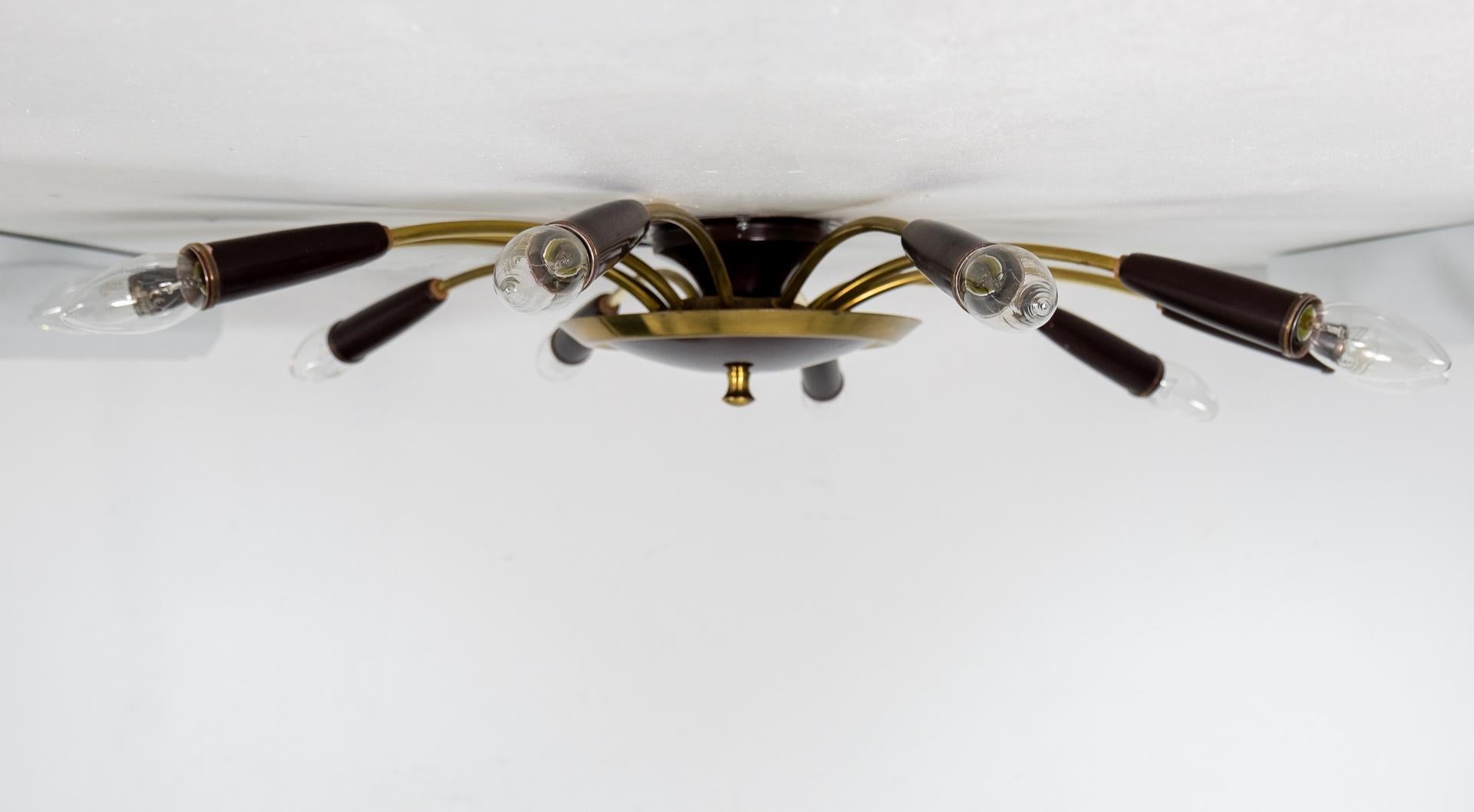 Mid-Century Modern 10 Arms Spider Ceiling Lamp, Italian, 1950s