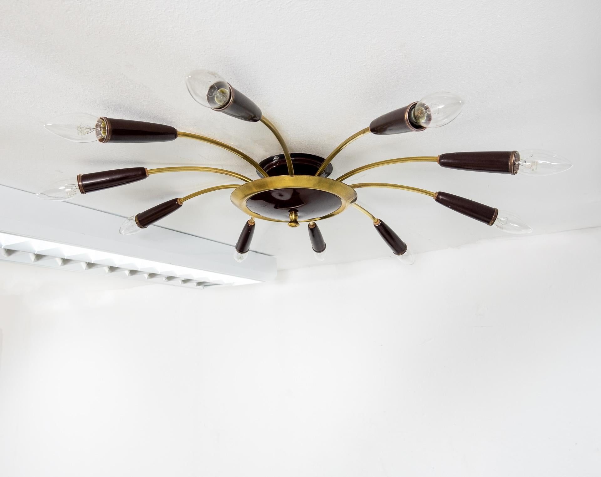 Mid-20th Century 10 Arms Spider Ceiling Lamp, Italian, 1950s