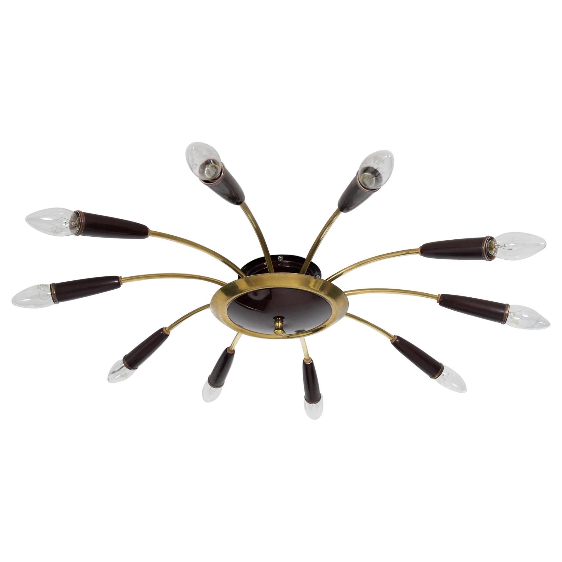 10 Arms Spider Ceiling Lamp, Italian, 1950s