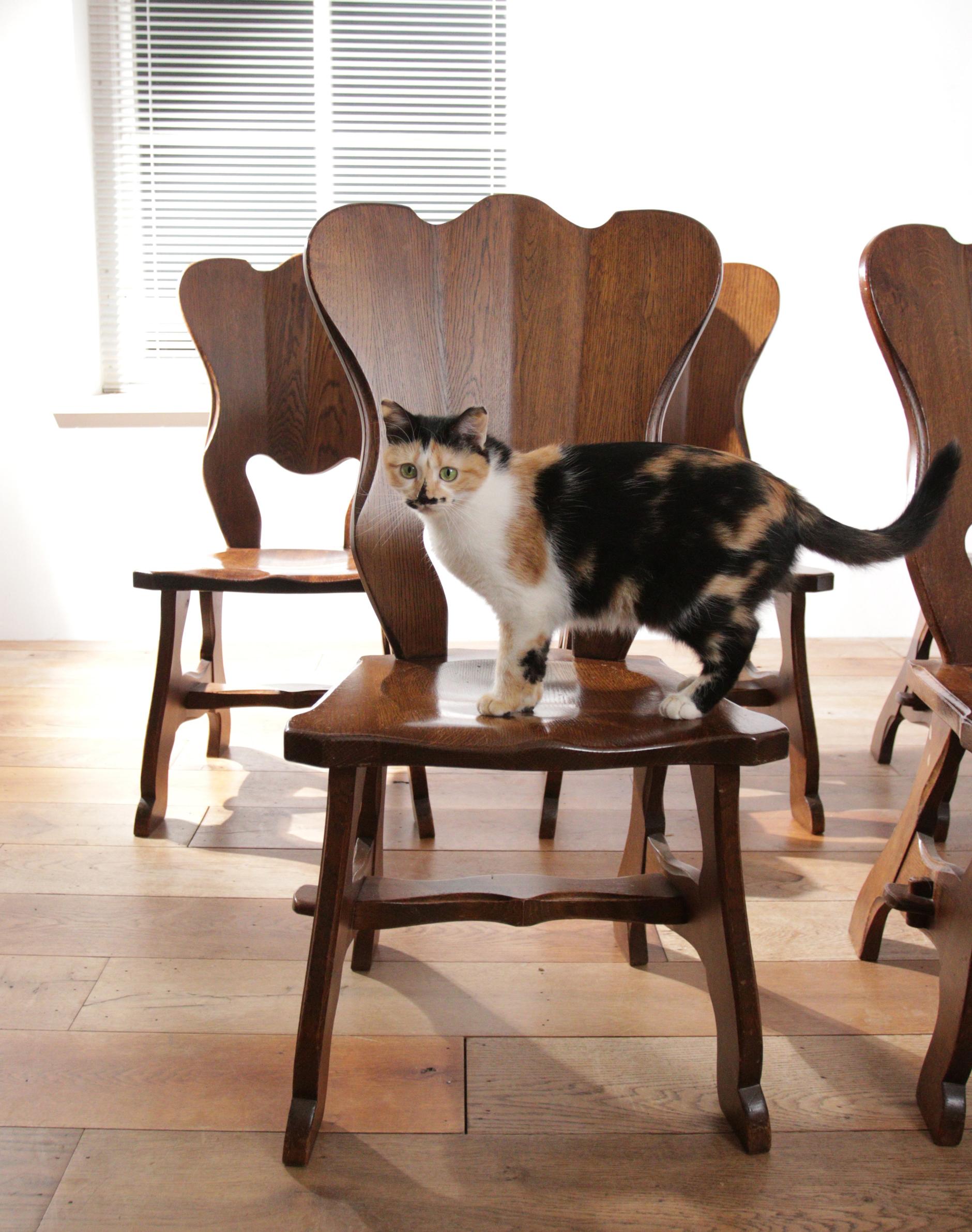 Dutch 4 + 2 Brutalist Oak Dining Wabi Sabi Room Chairs  For Sale