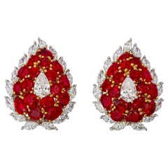 Stud Earrings