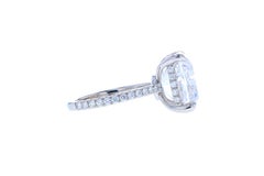 10 Carat Cushion Cut Diamond Engagement Ring with Diamond Pave and Hidden Halo