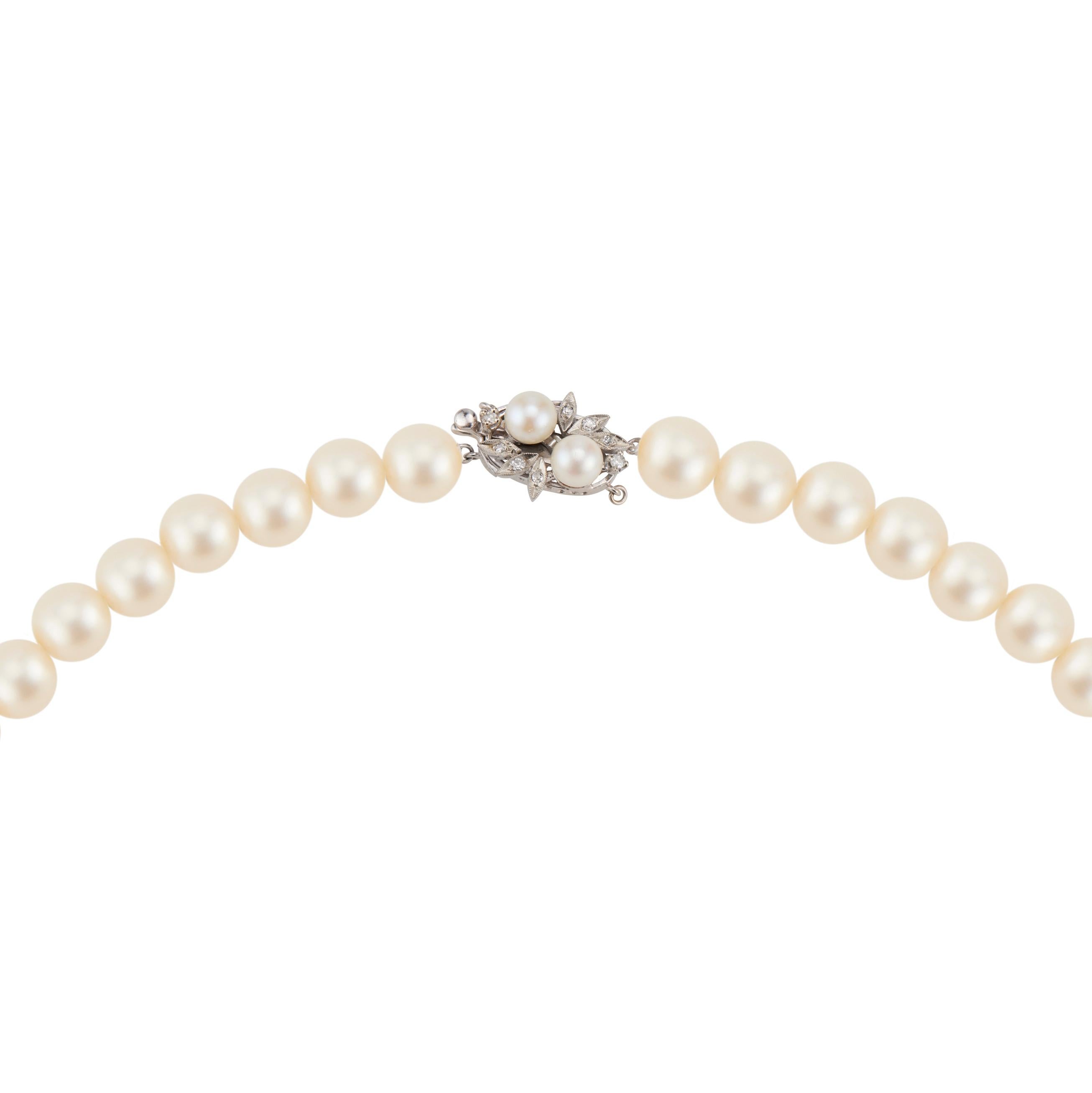 Mid-Century 1960's Cultured Akoya pearl diamond necklace. 47 cultured creme Akoya pears with a diamond 14k white gold catch accented with 2 cultured 6mm white pearls. 16.75 Inch long. Natural slight cream color. Well matched few blemishes.  

47