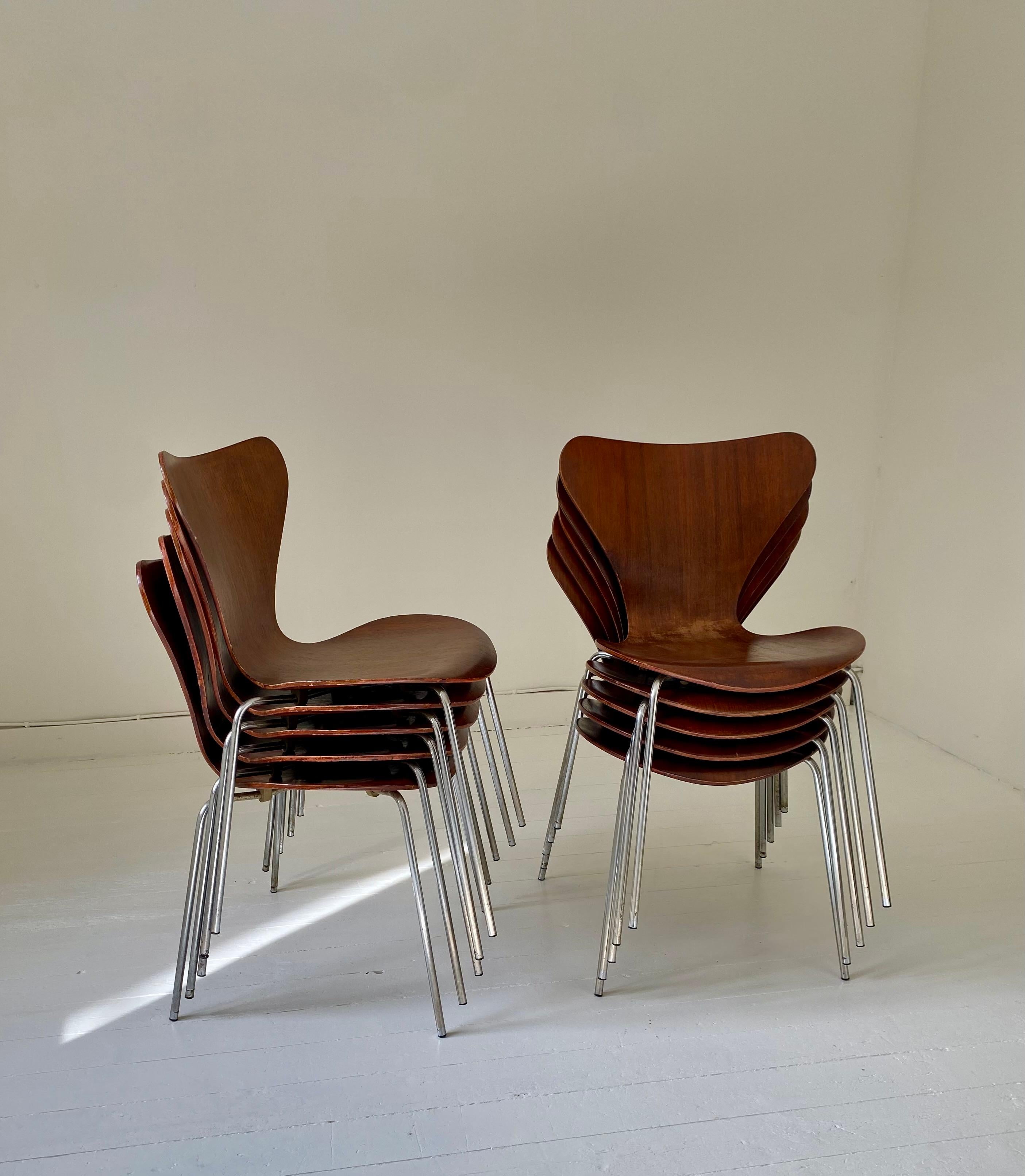 10 chaises Arne Jacobsen série 7 4