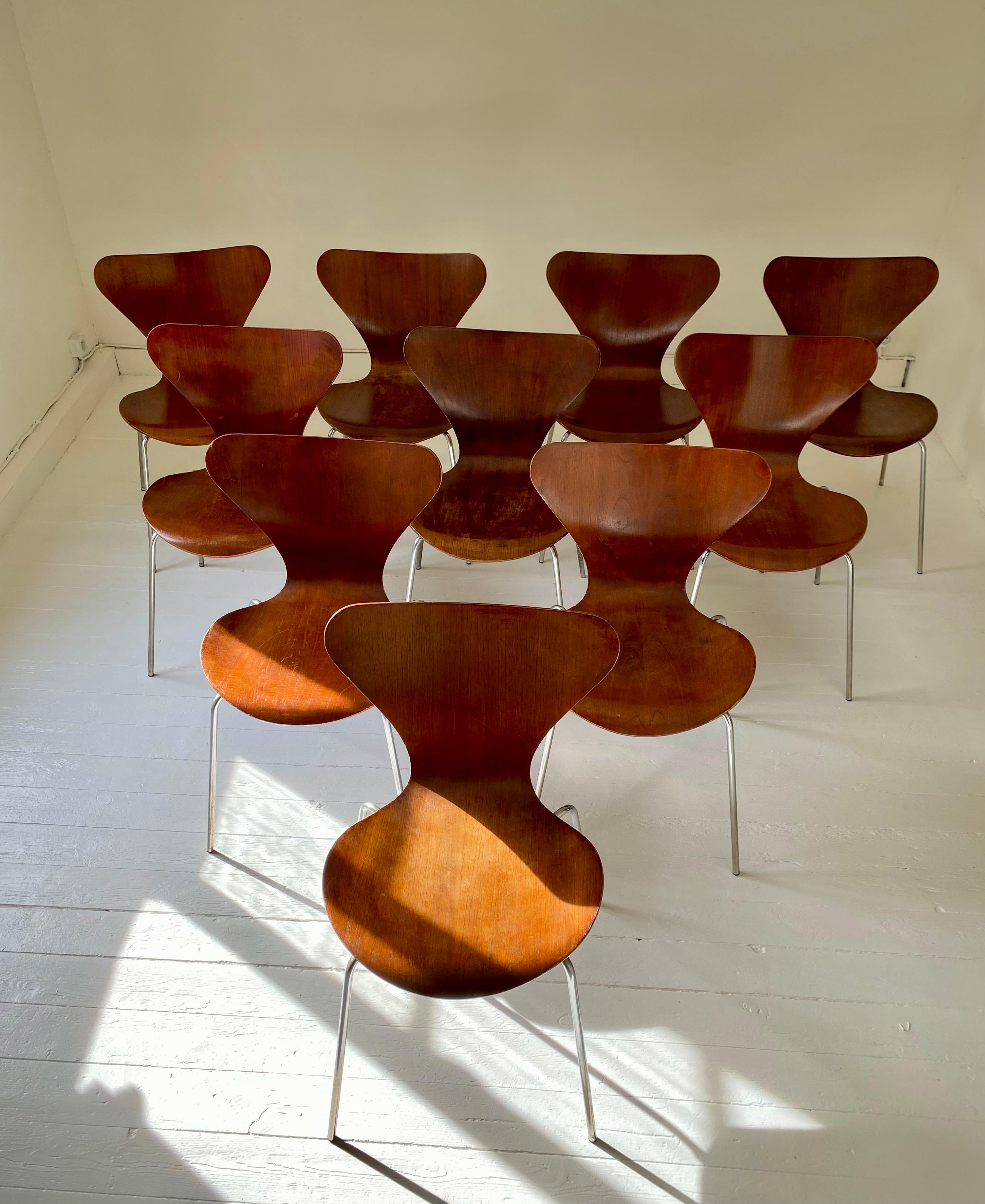 Danish 10 chaises Arne Jacobsen série 7