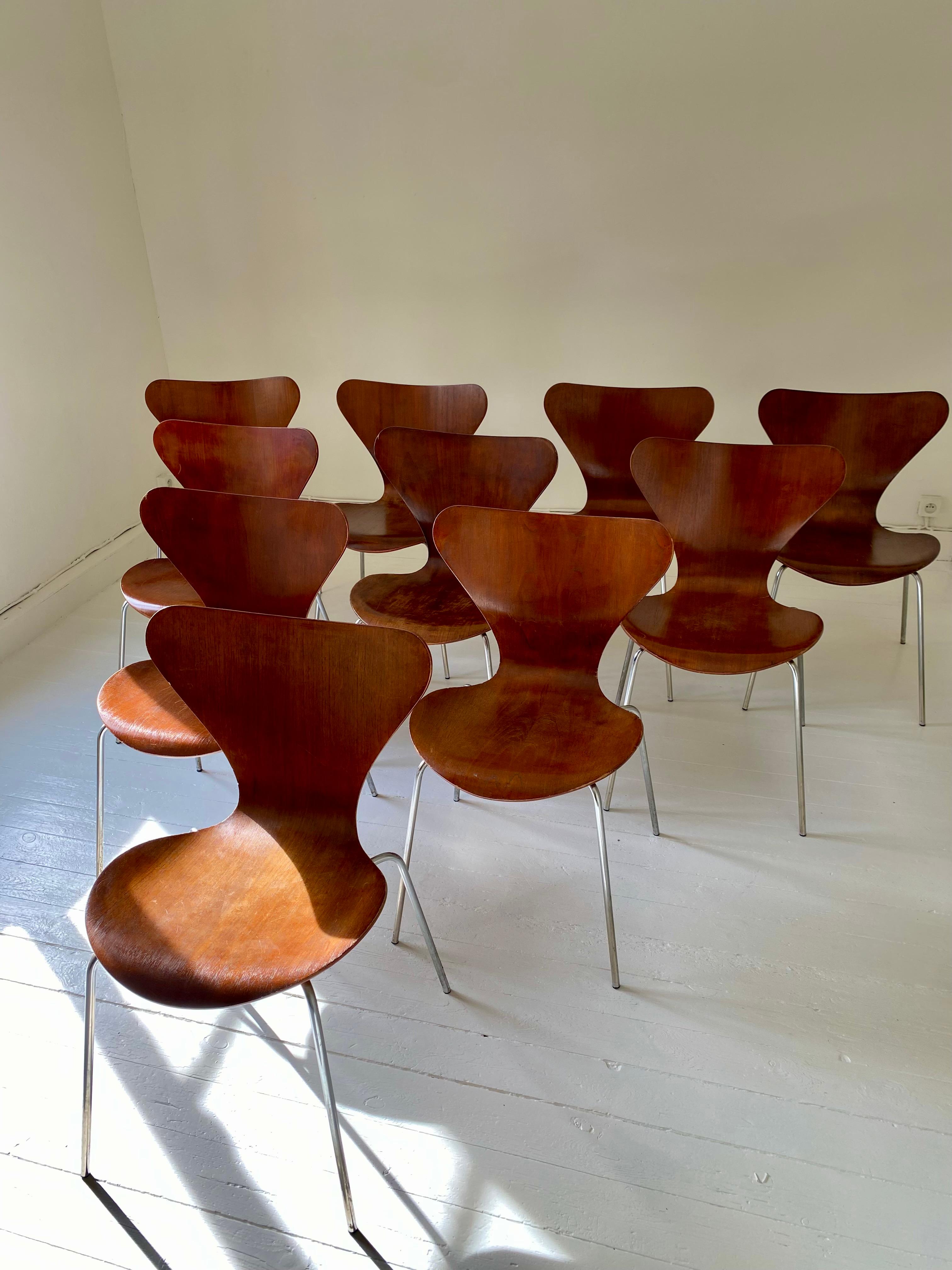 Plywood 10 chaises Arne Jacobsen série 7