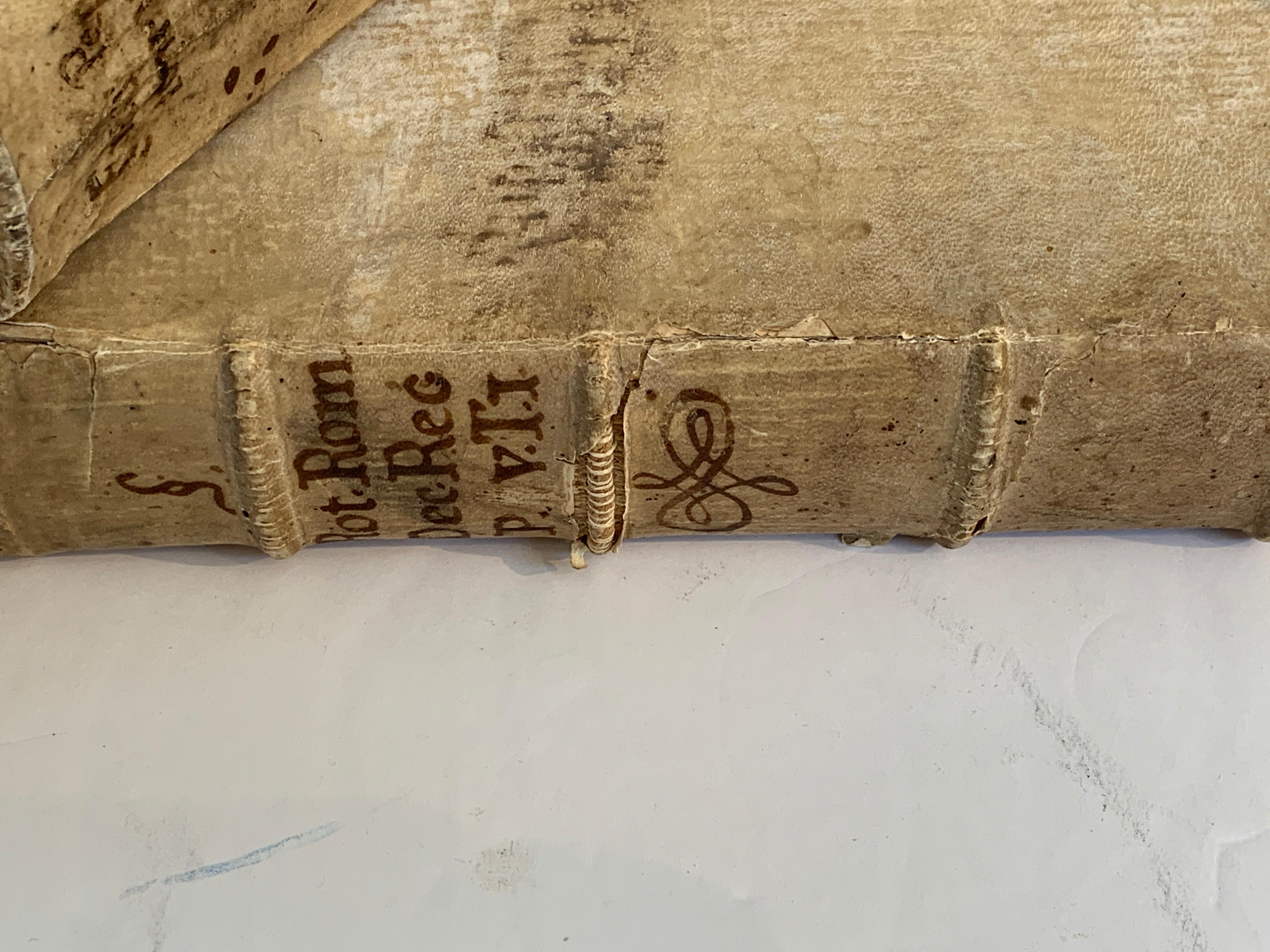 Paper 10 Early Vellum Books