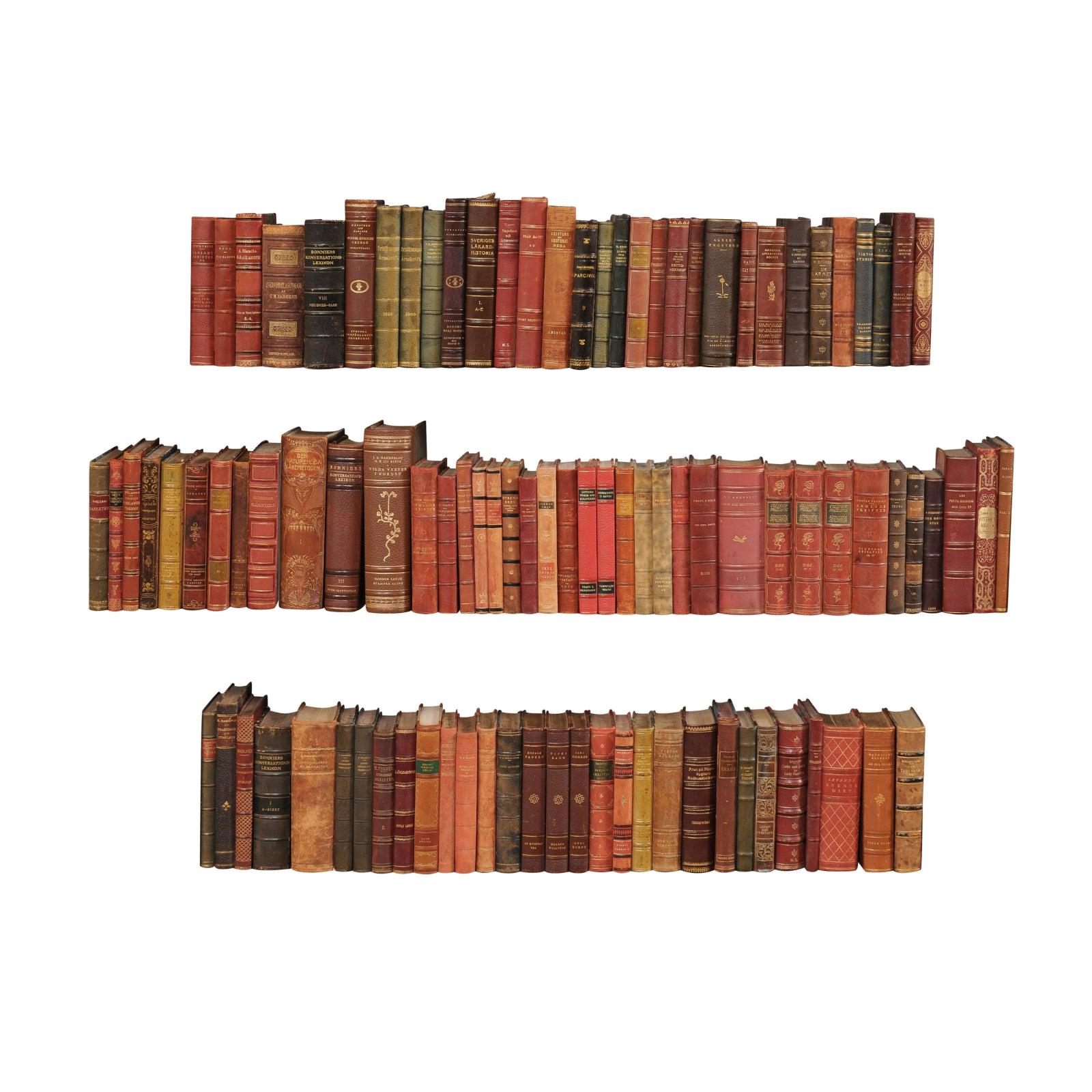 10 Ft. Run of 100 Swedish Antique Leather-Bound Books, in Varying Warm Tones