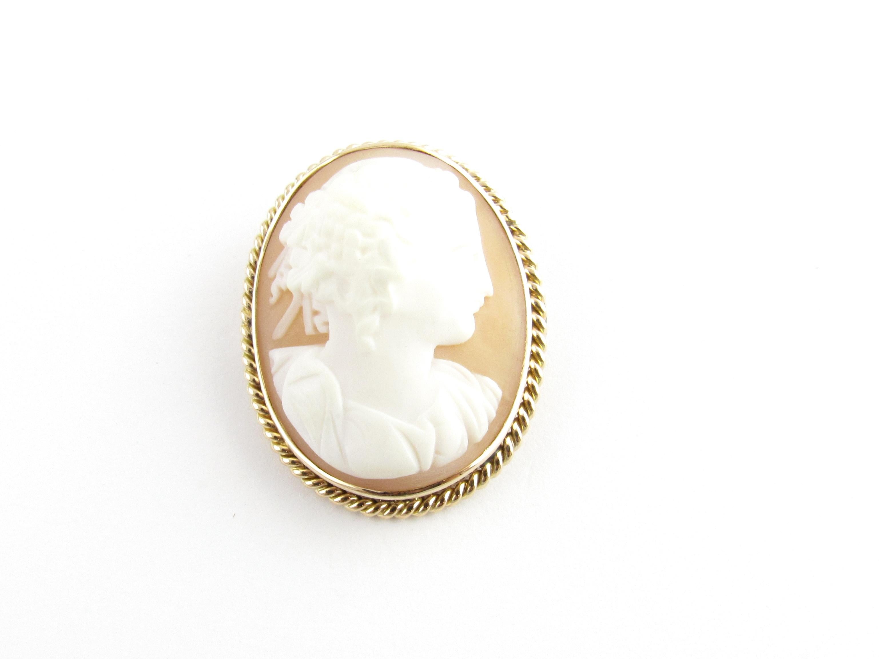 10 Karat Yellow Gold Cameo Brooch For Sale 1