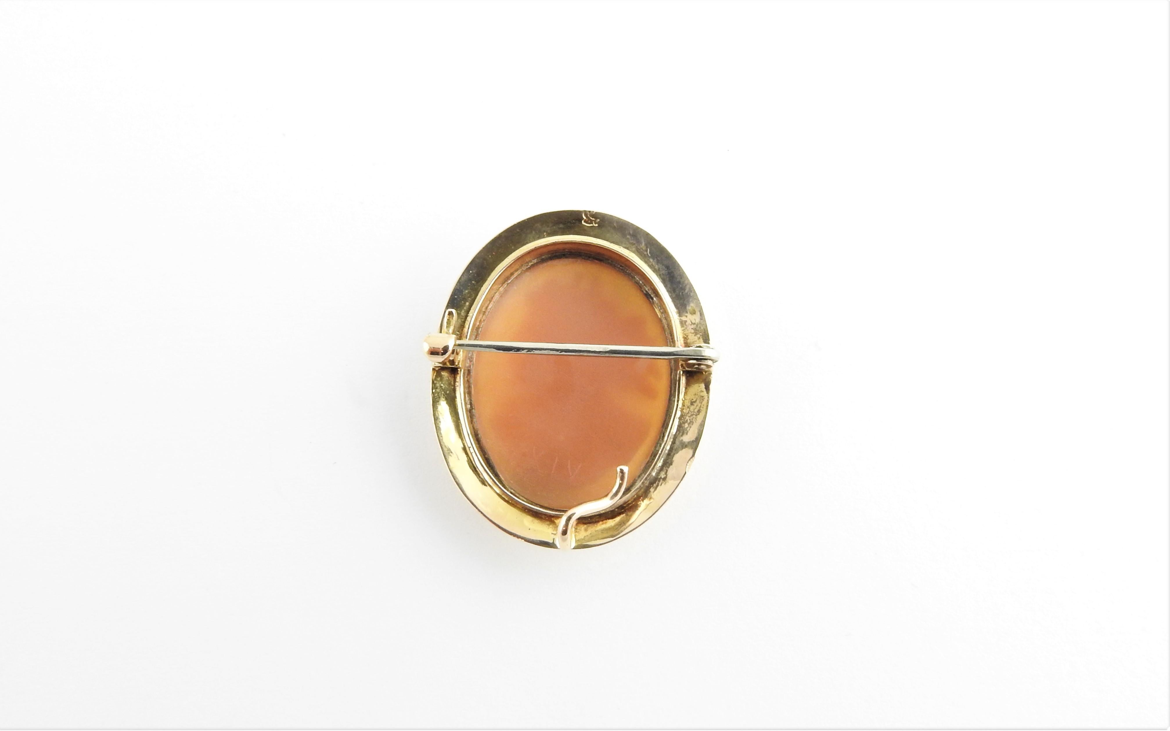 10 Karat Yellow Gold Cameo Brooch For Sale 3