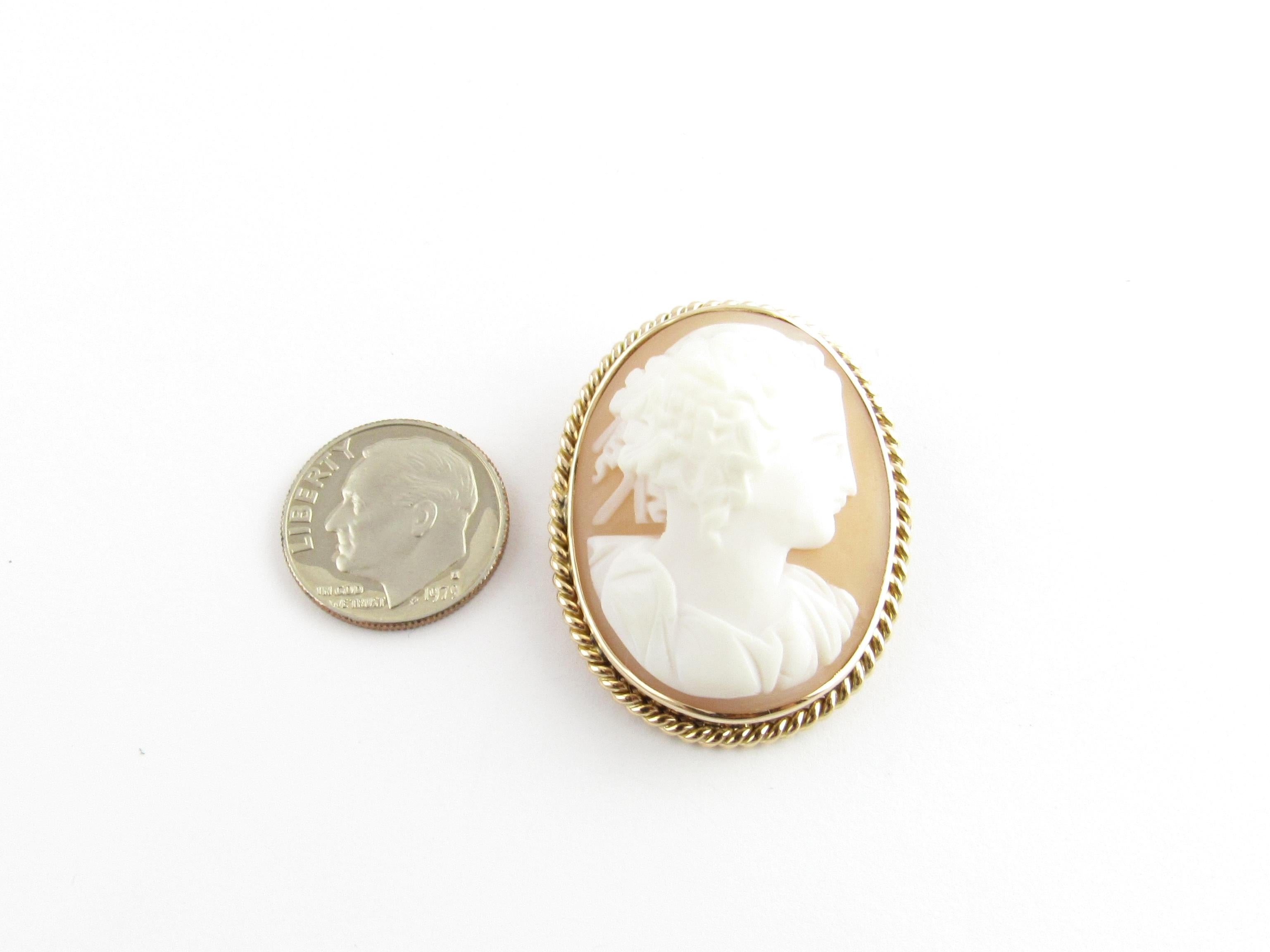 10 Karat Yellow Gold Cameo Brooch For Sale 4