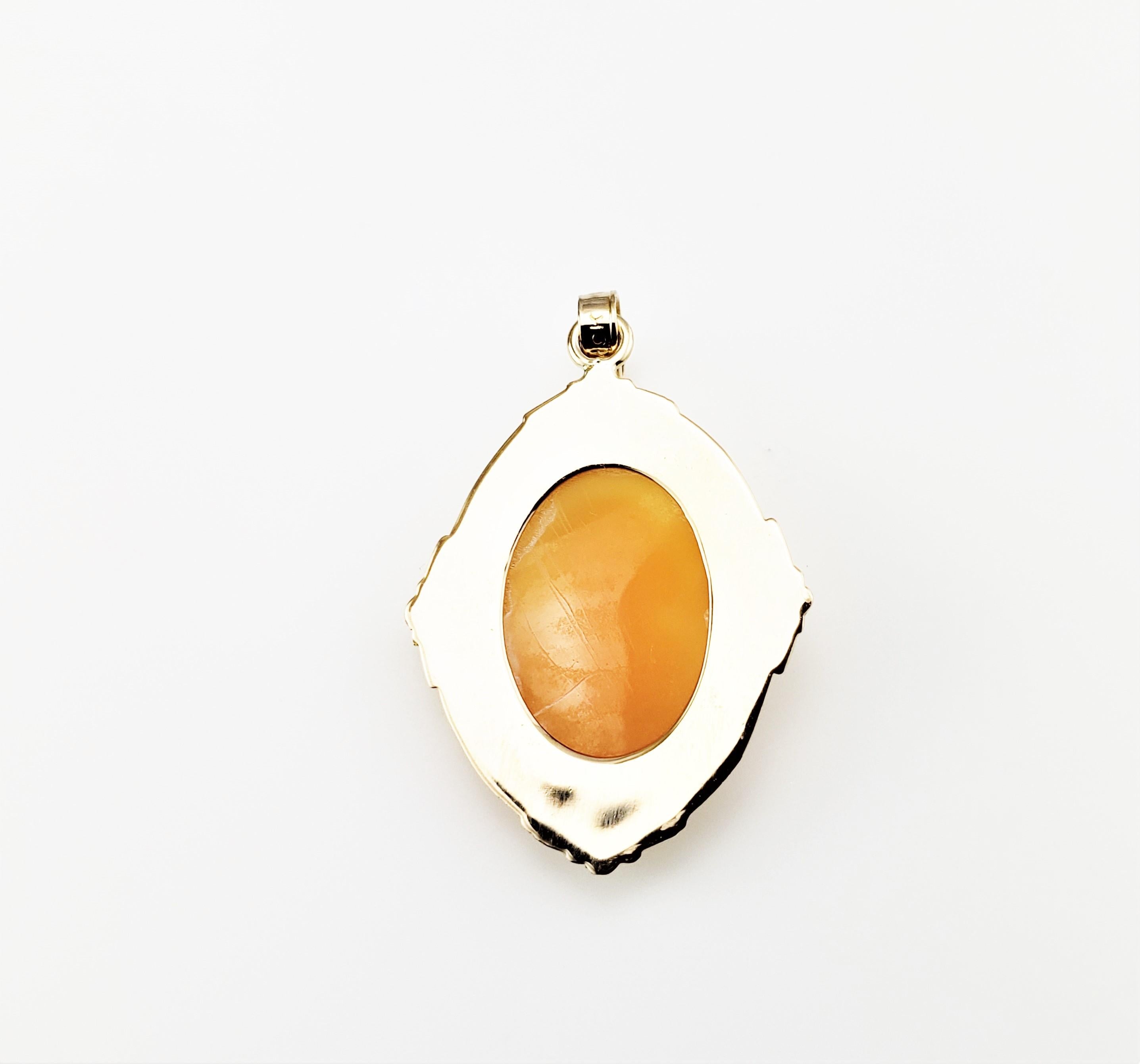 10 Karat Gelbgold Kamee-Anhänger 1