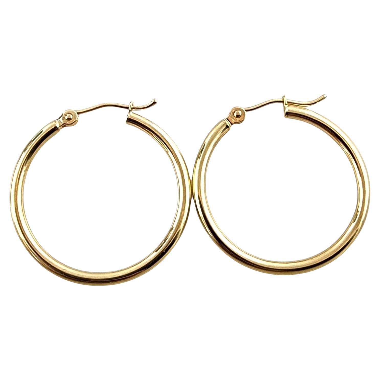 10 Karat Yellow Gold Circle Hoop Earrings #19769