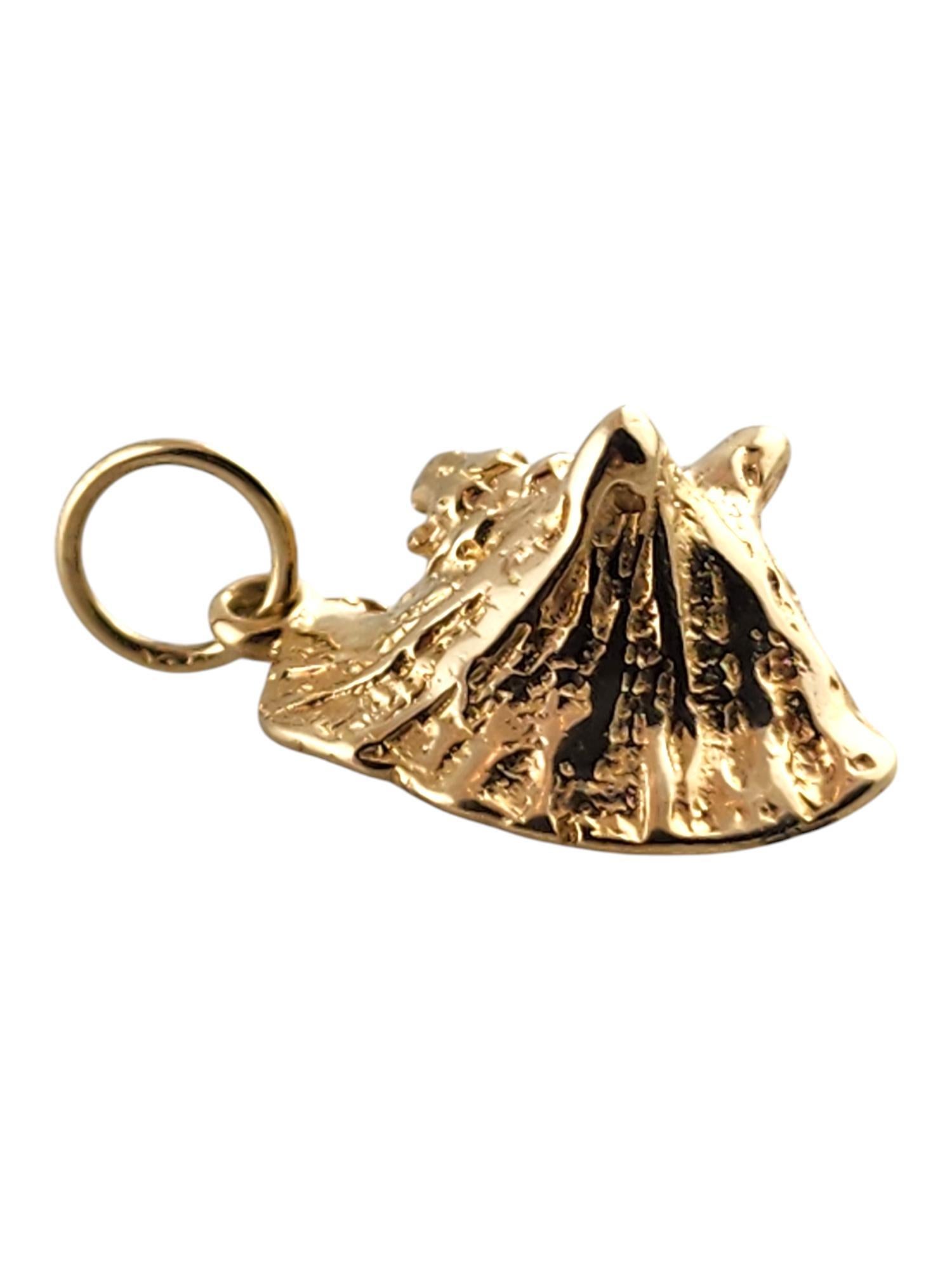 Women's 10 Karat Yellow Gold Conch Shell Charm # 19406