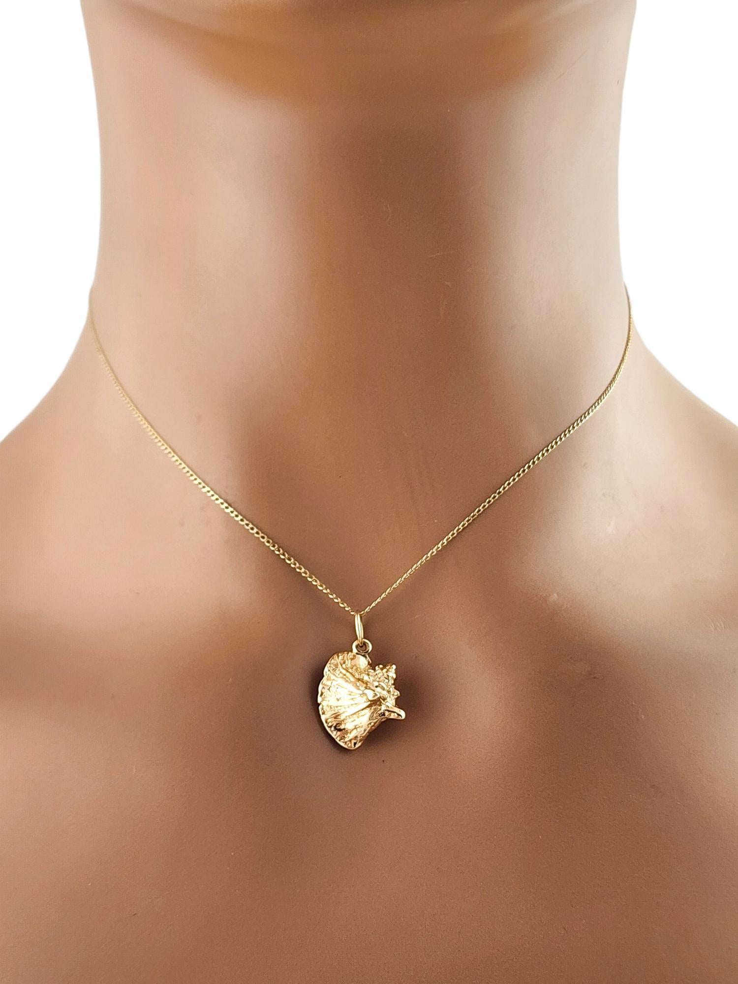 10 Karat Yellow Gold Conch Shell Charm # 19406 3