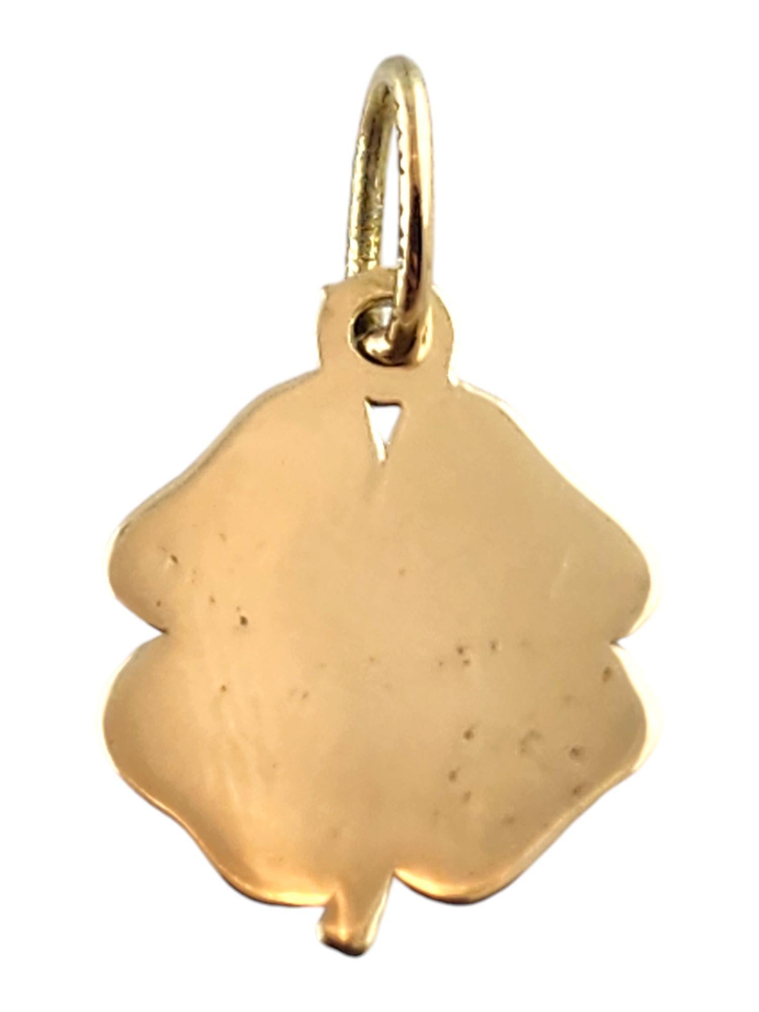Women's 10 Karat Yellow Gold Four Leaf Clover Charm with Lucky Symbols #19439