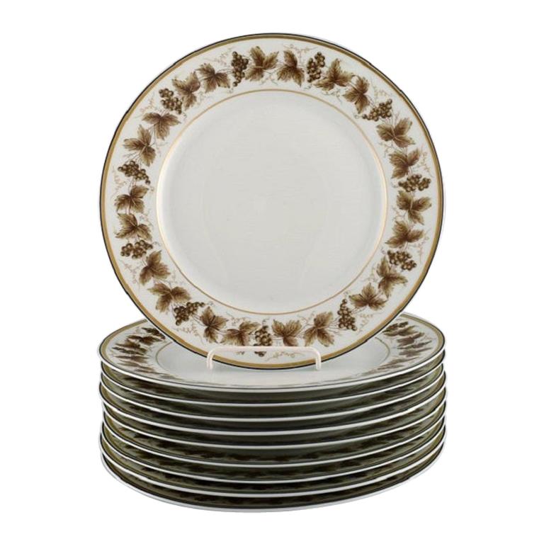 10 assiettes plates en porcelaine de Limoges avec vignes peintes à la main