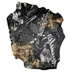 Objets décoratifs
