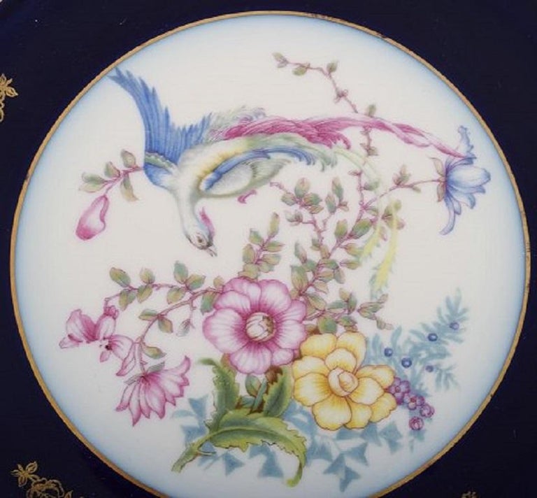 German 10 Rosenthal Porcelain Plates with Hand-Painted Flowers and Birds For Sale