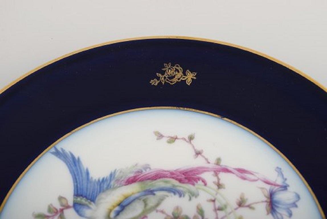 10 Rosenthal Porcelain Plates with Hand-Painted Flowers and Birds In Excellent Condition In Copenhagen, DK