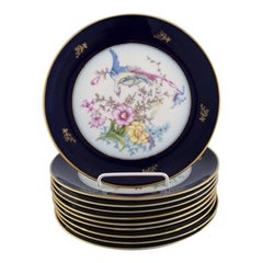 10 Rosenthal Porcelain Plates with Hand-Painted Flowers and Birds