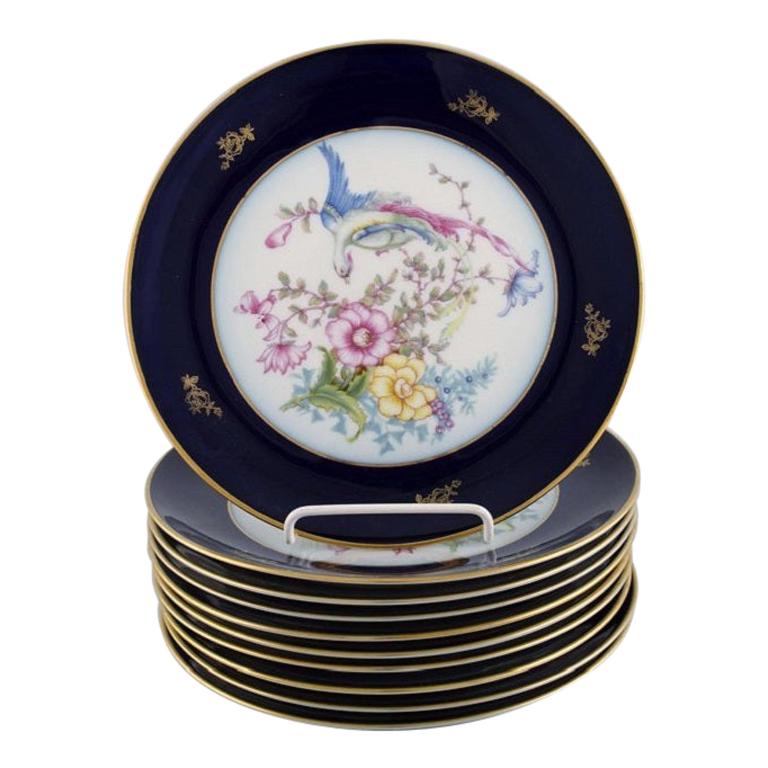 10 Rosenthal Porcelain Plates with Hand-Painted Flowers and Birds For Sale