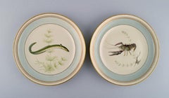 10 Royal Copenhagen Porcelain Fish Plates with Hand-Painted Fish Motifs, 1960