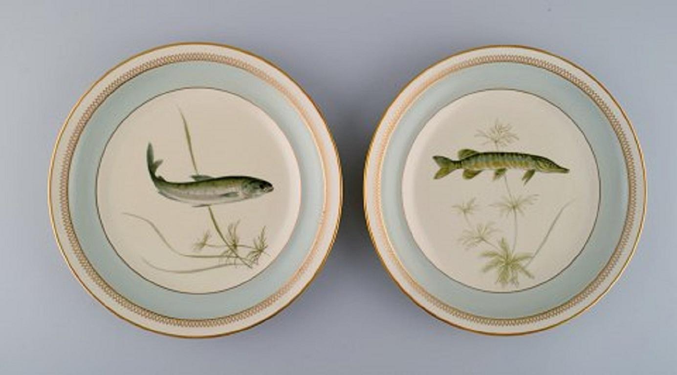 Danish 10 Royal Copenhagen Porcelain Fish Plates with Hand-Painted Fish Motifs, 1960