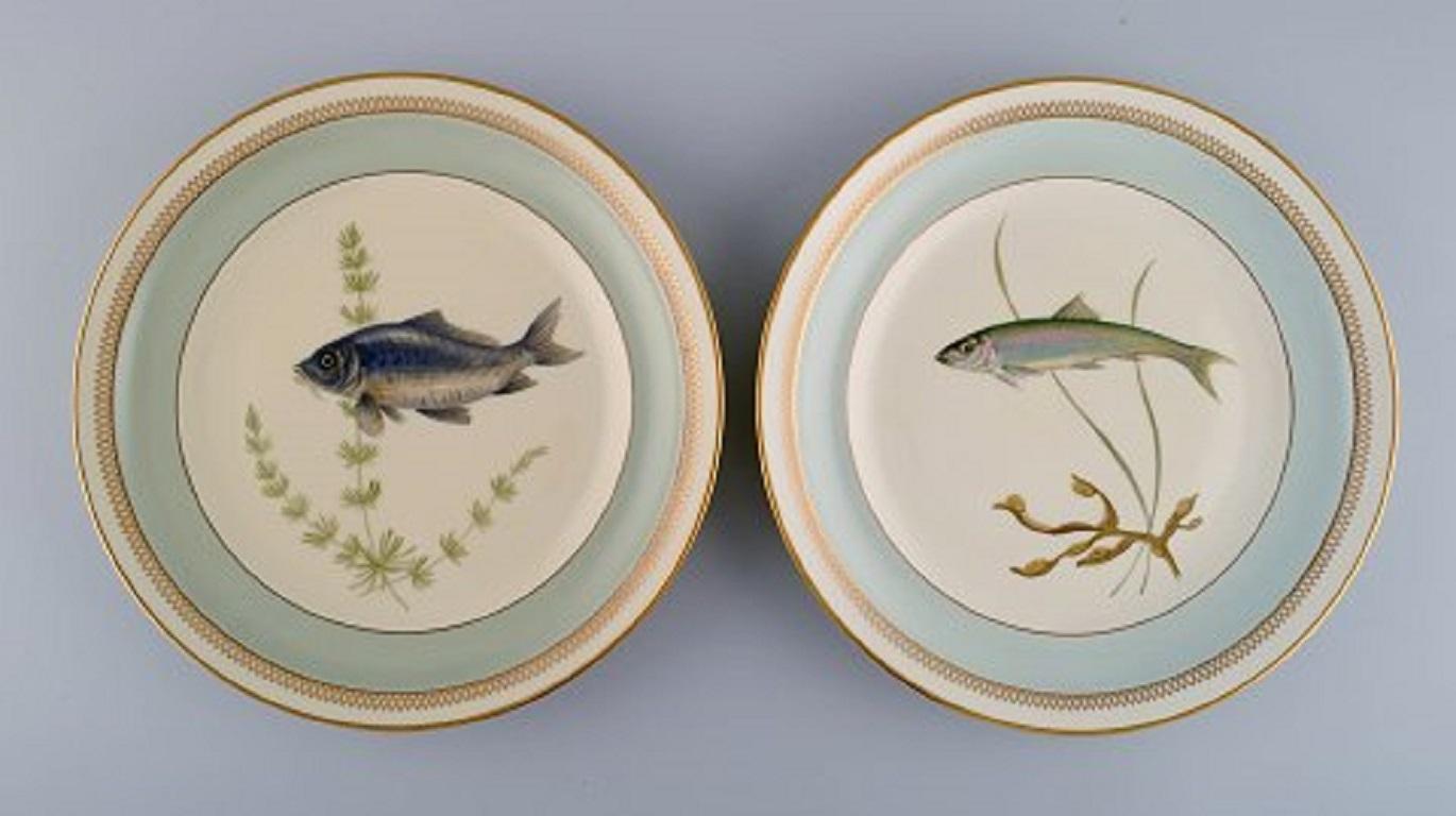 10 Royal Copenhagen Porcelain Fish Plates with Hand-Painted Fish Motifs, 1960 2