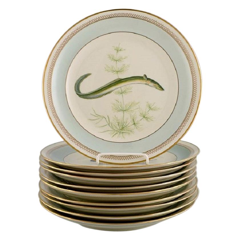 10 Royal Copenhagen Porcelain Fish Plates with Hand-Painted Fish Motifs, 1960